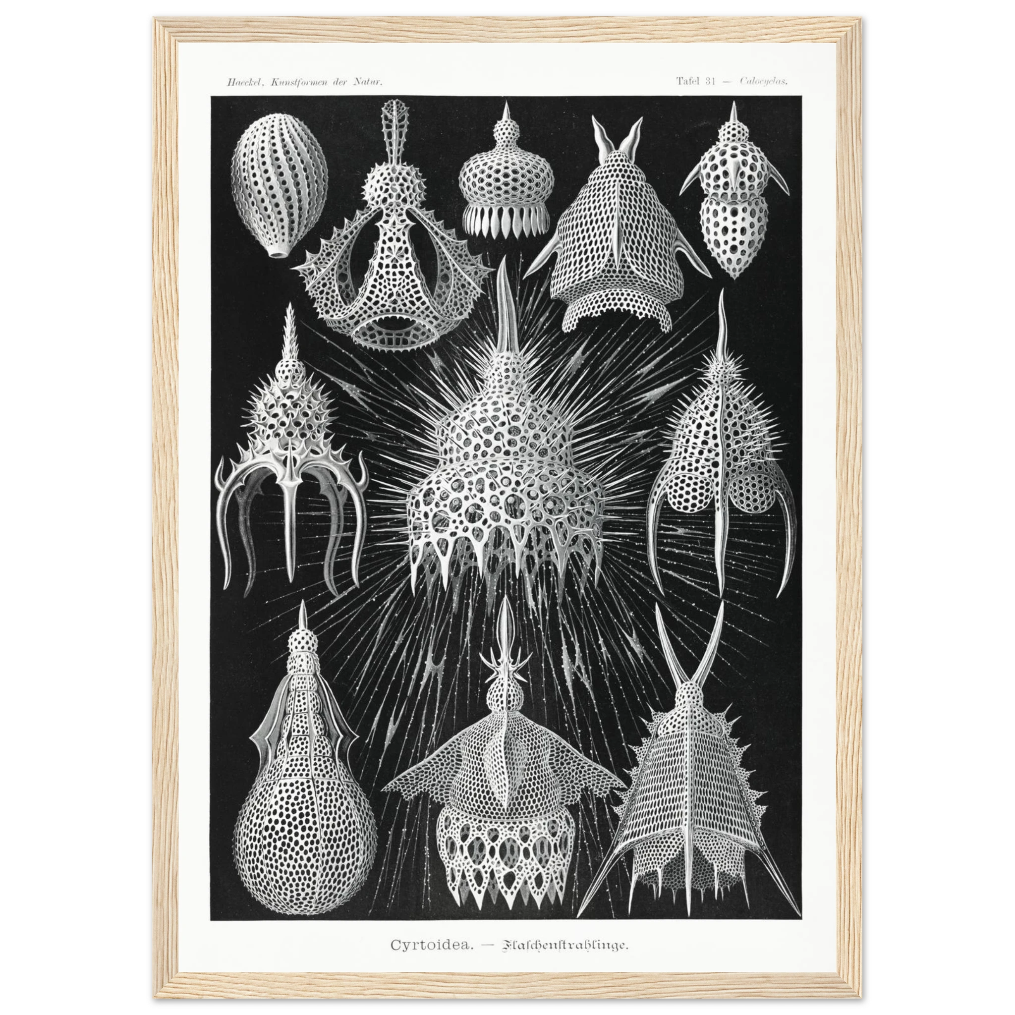 5a0052bb-eff2-4826-b4fd-2dcfb726303d