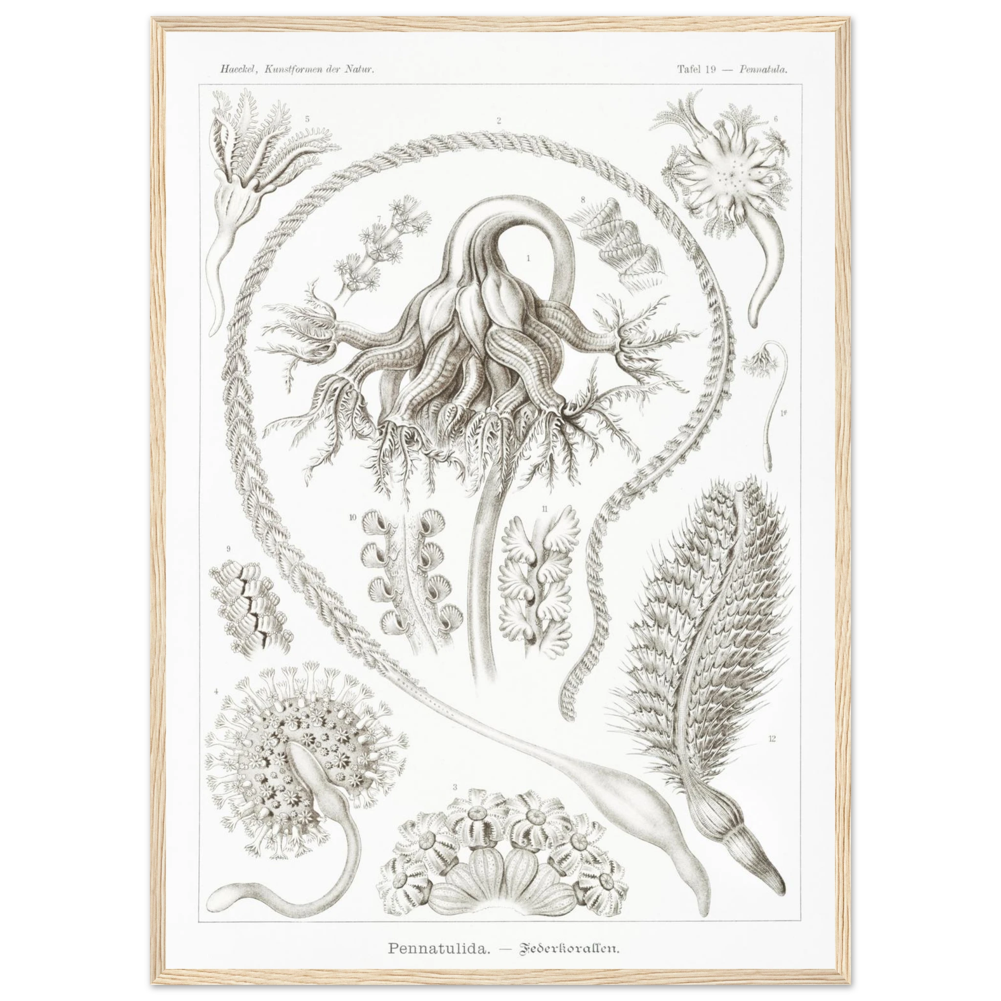 5a01ac1d-f718-4e9c-961e-512d311886f3