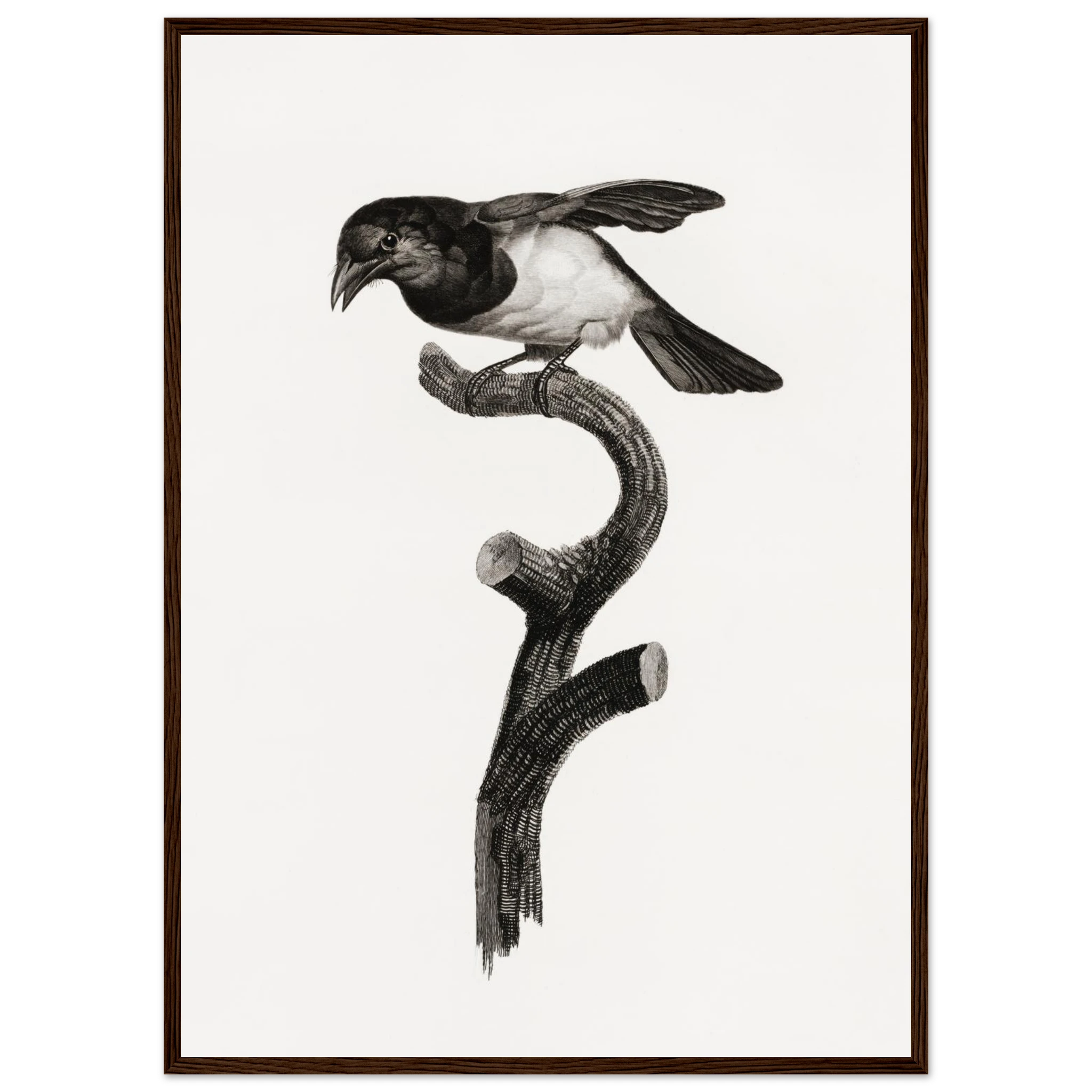 5a029c88-0562-437c-b0a0-fcda60b123e7