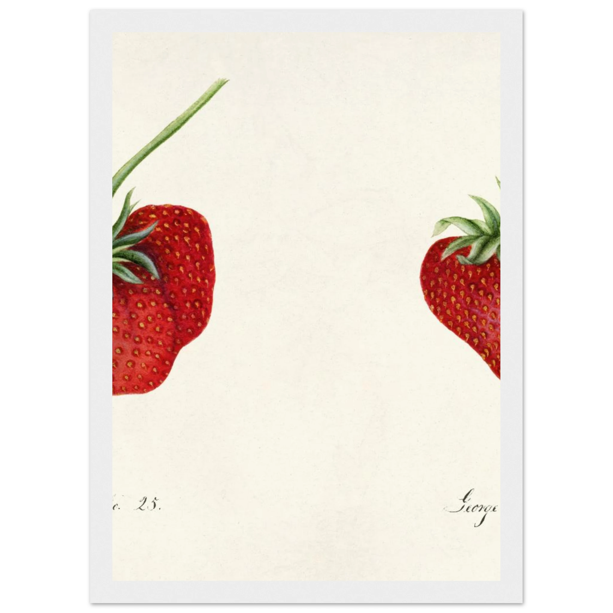 5a31f712-f819-4580-9acd-e2dd7bf359b0