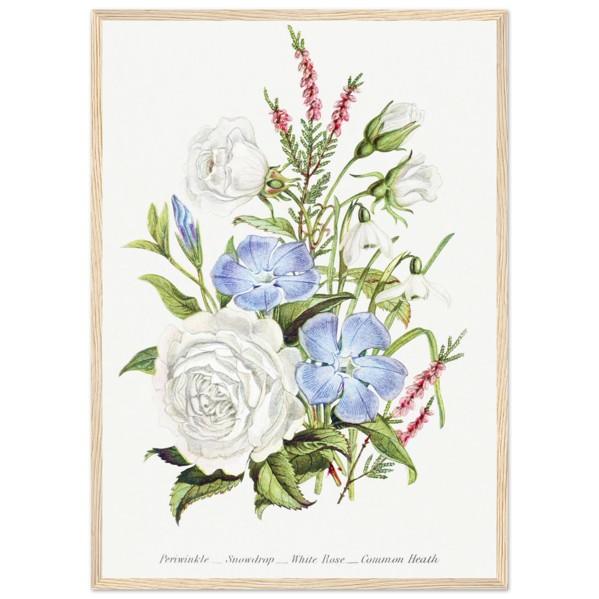 5a365ea6-0974-47bc-b5e9-9f4a399e6590