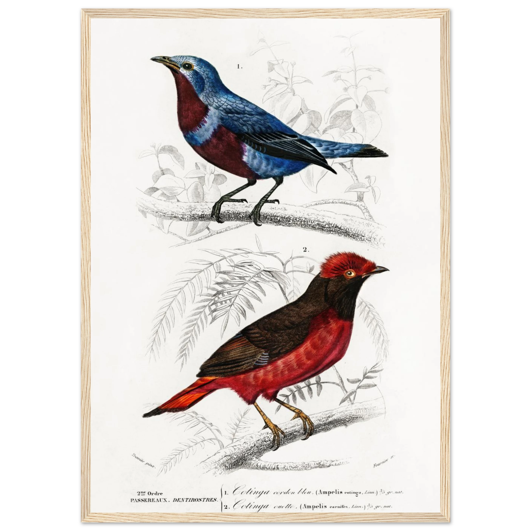 5a479693-d84a-4a5b-9440-9cf328d72cdf