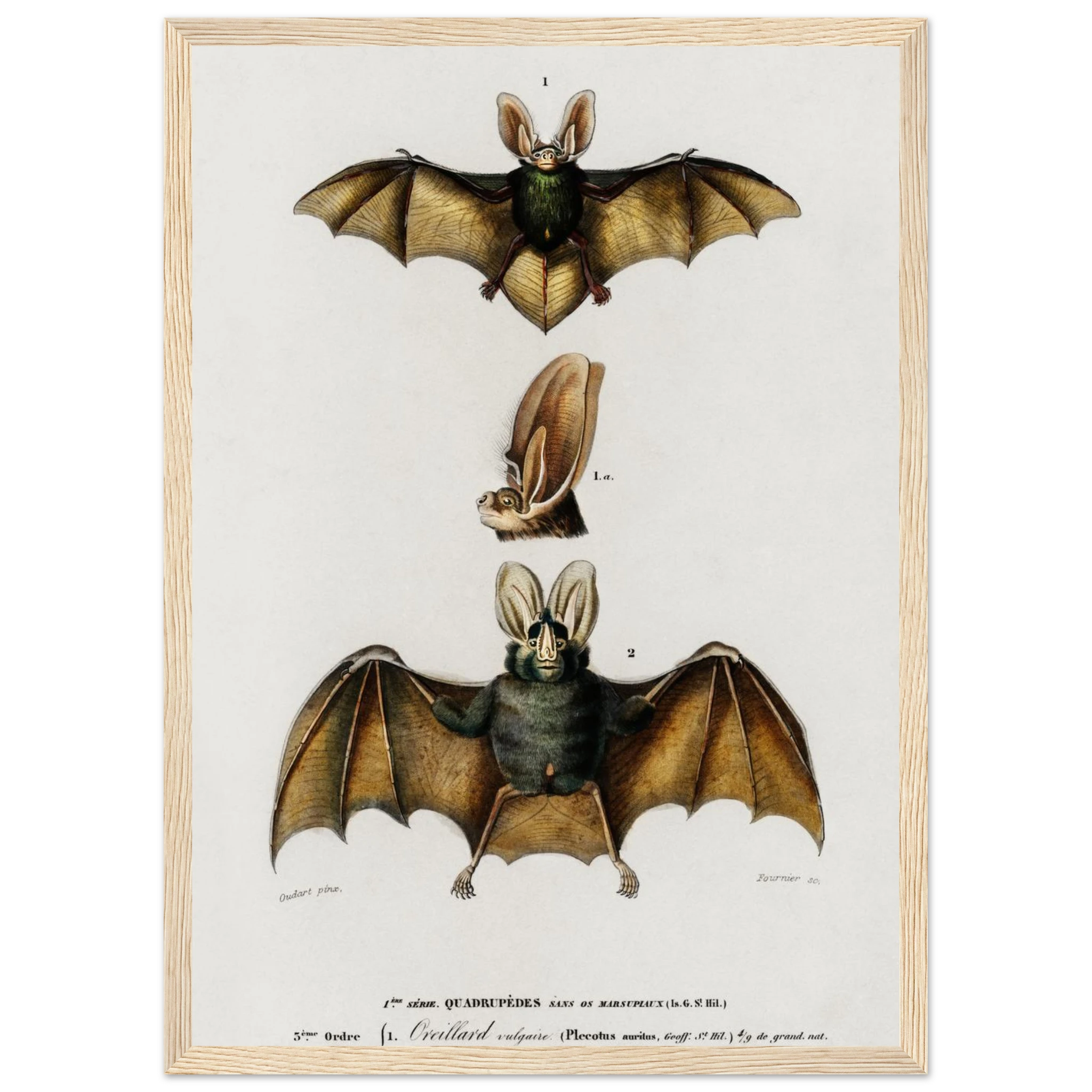 5a864647-f2e4-4b3d-bd49-f0a6c53e2be9