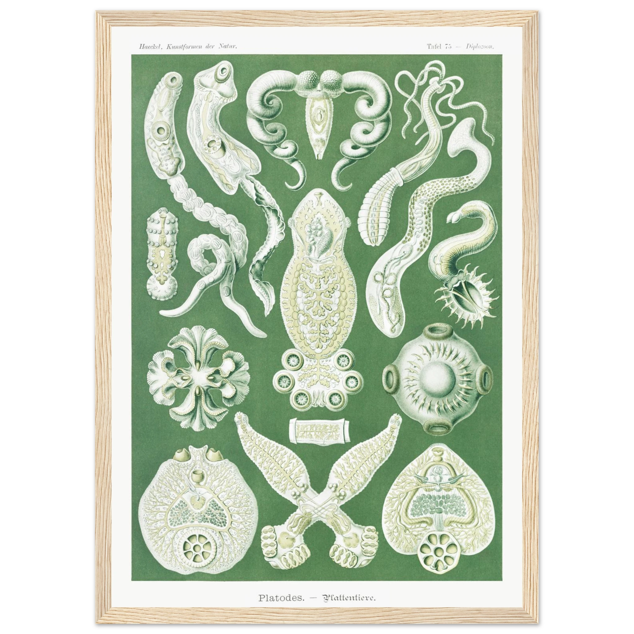 5ab5ba15-b2cf-4839-891f-3610915bf560