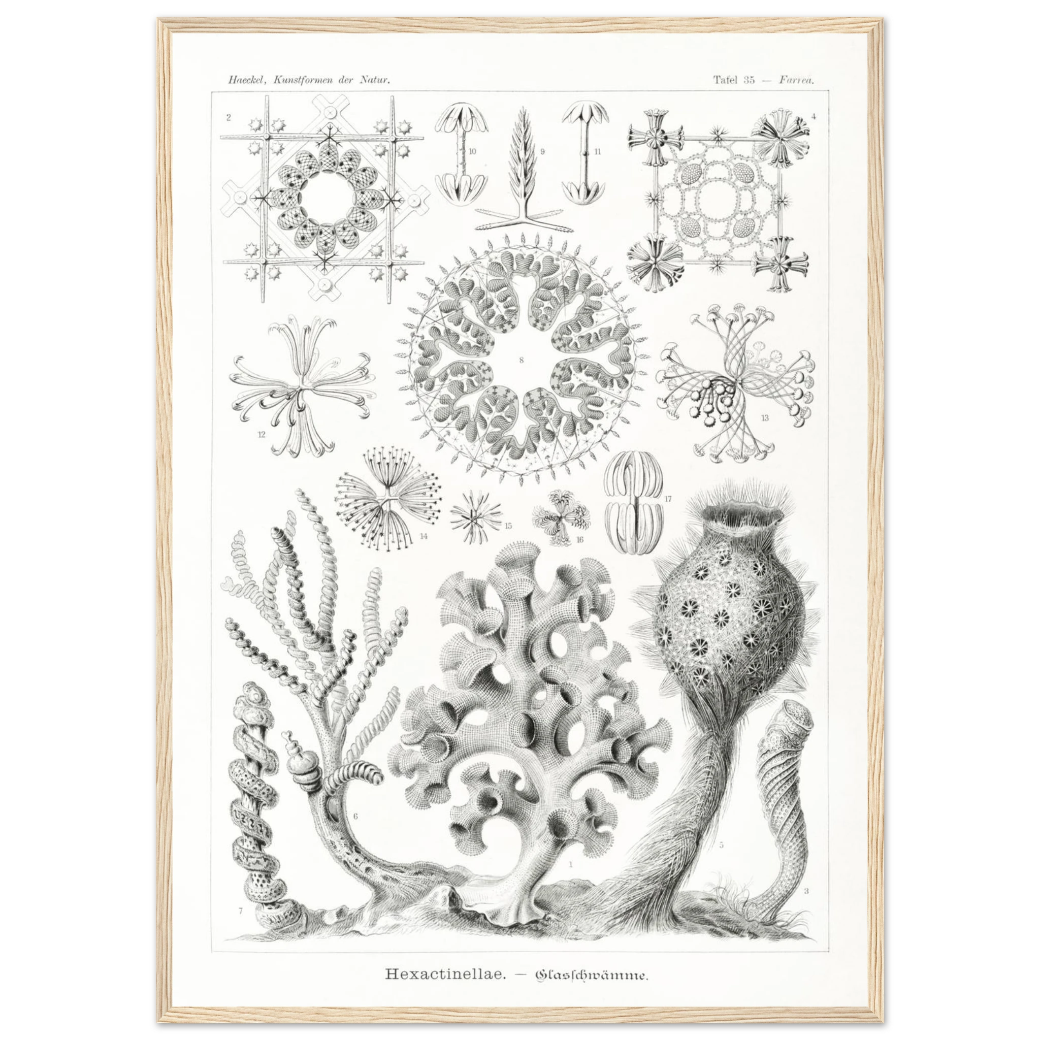 5ac05101-21a2-4c12-b3fb-cbf0190e14bd