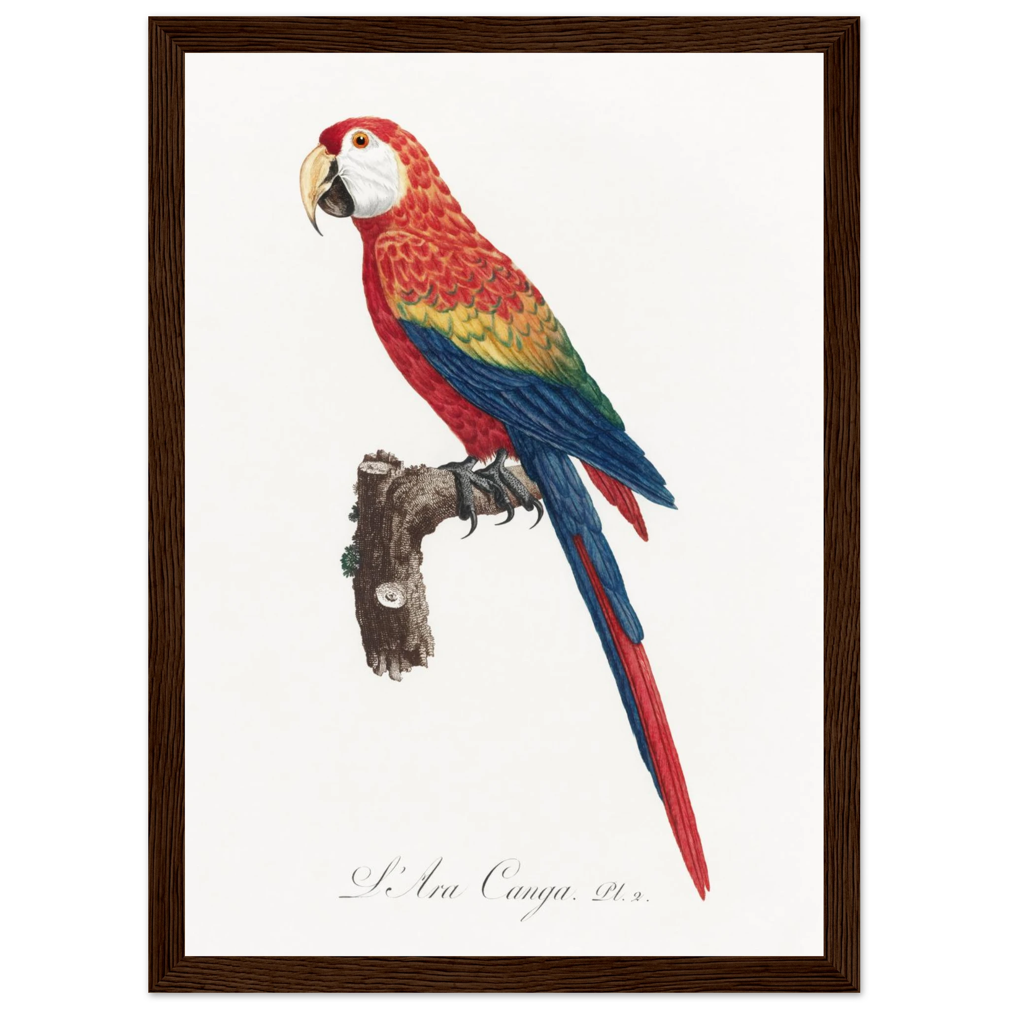 5ac9d30f-af9e-4fcd-ab0e-381a576fca7d