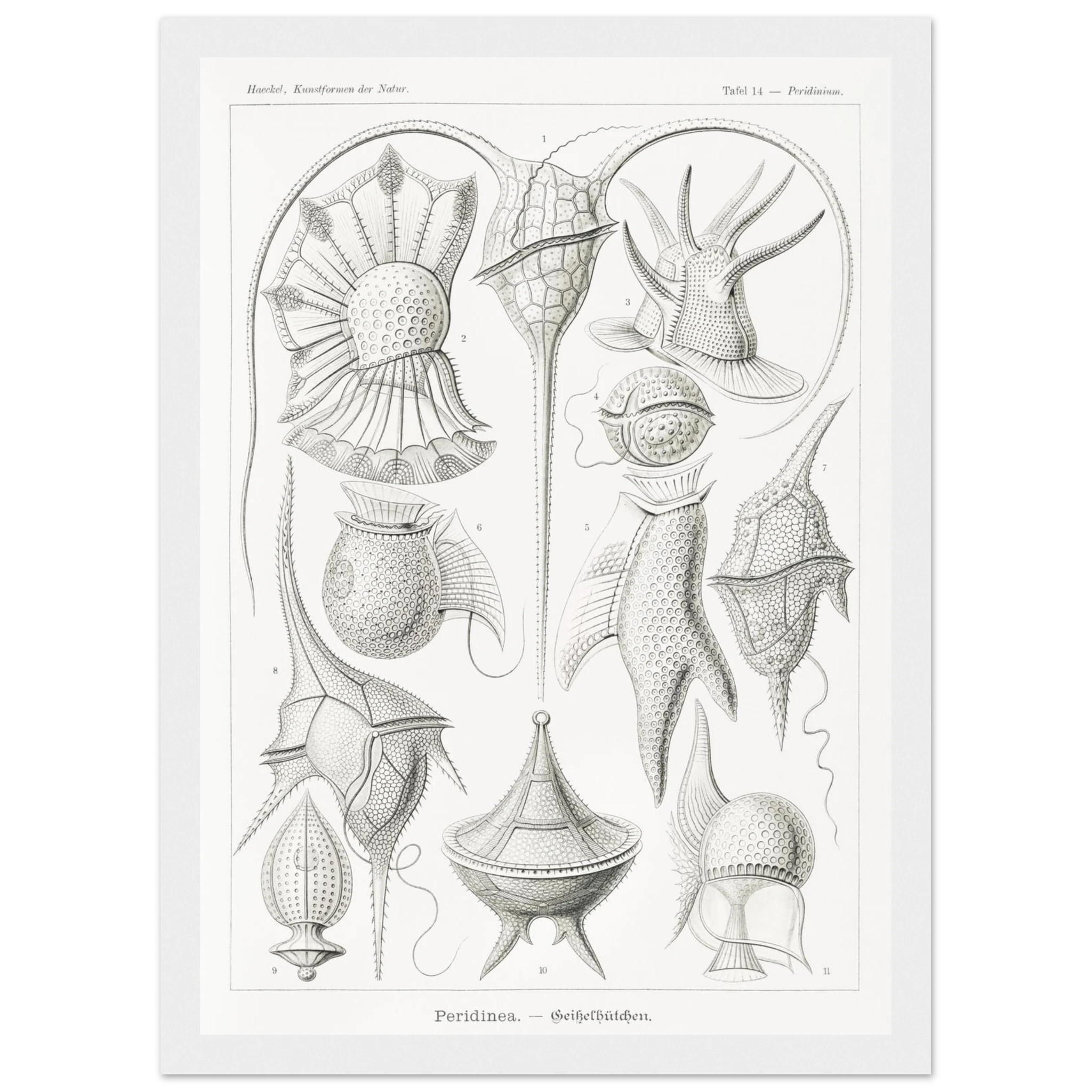 5af7e97e-08ca-41de-b8f5-b342032b64ab