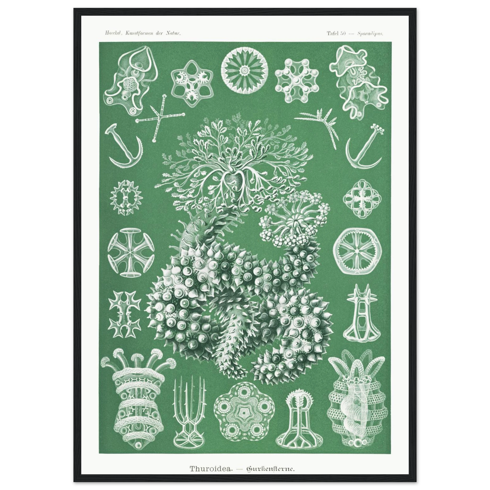 5b0871ac-401a-449a-9be9-72bab8c4709a