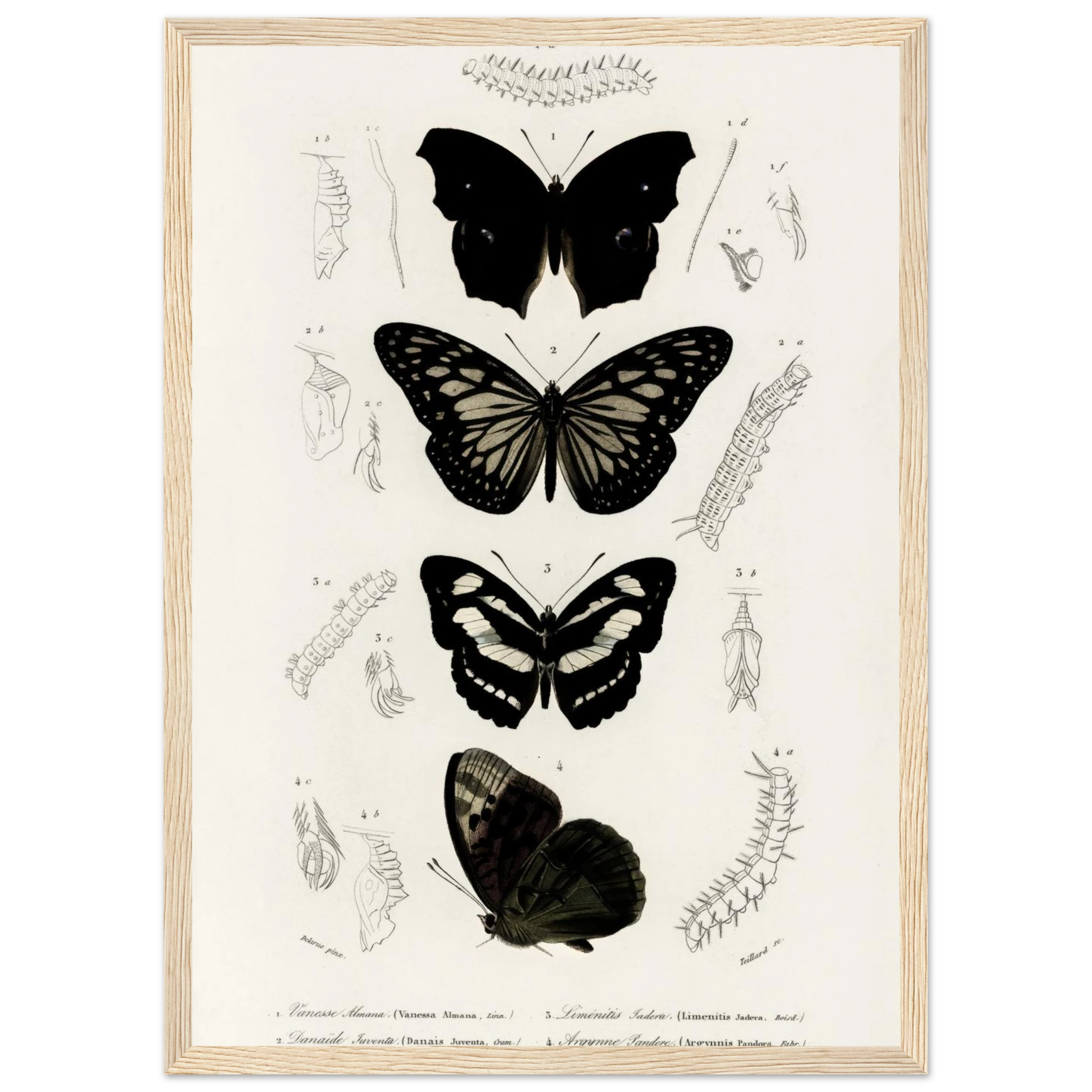 5b1813d6-cbfc-486d-a406-66691cdf4776