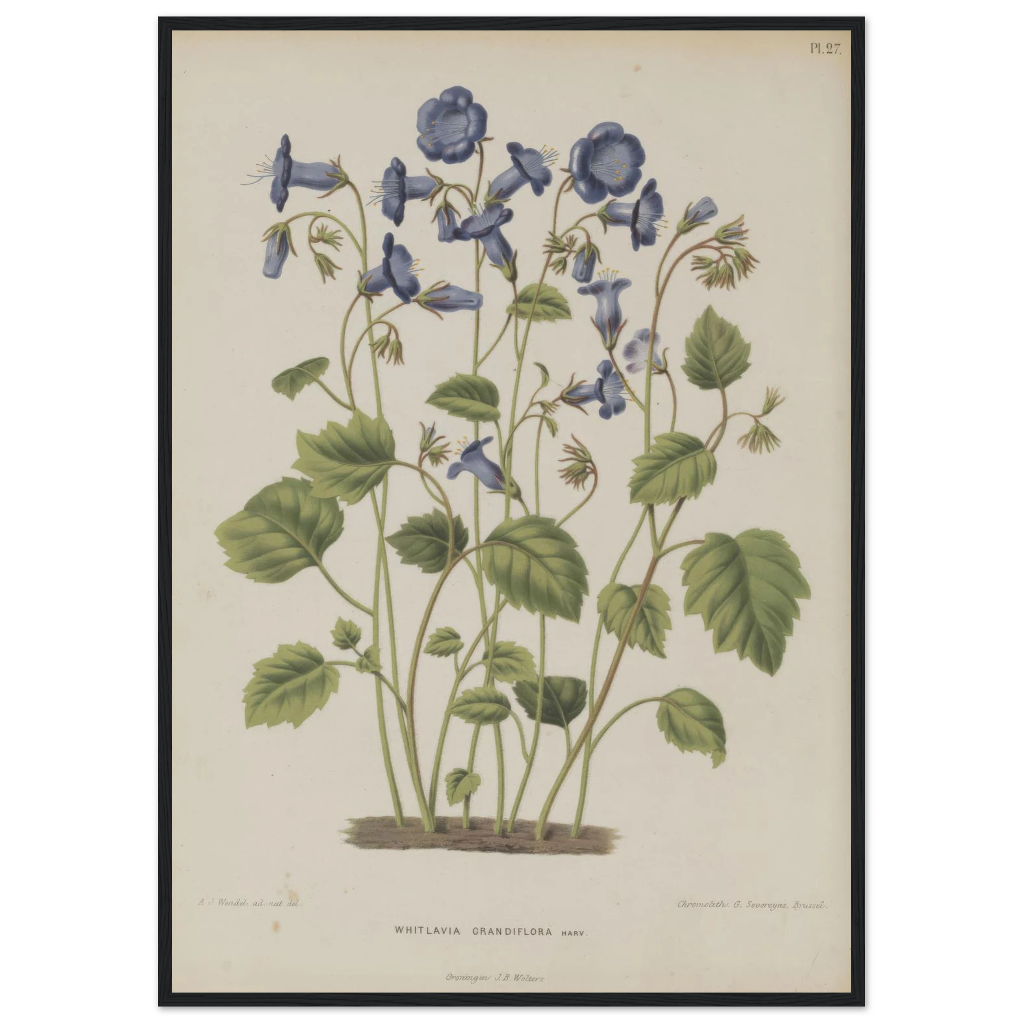 5b1ce6f0-23fc-4c9e-984d-025739b83489