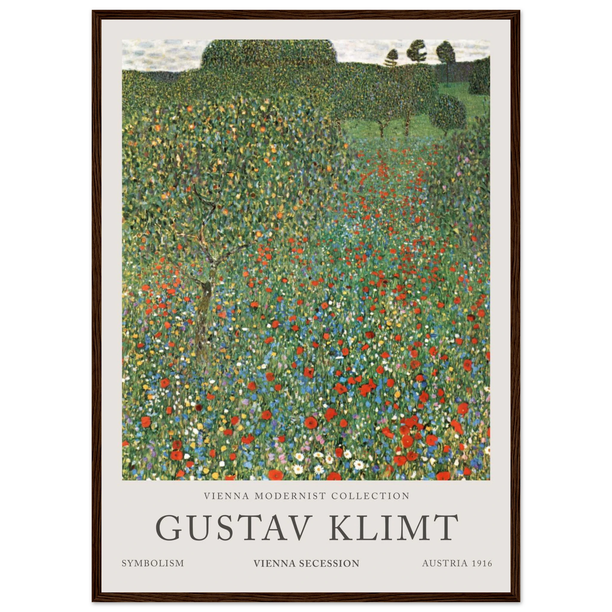 5b3a6667-490c-4cd4-bce6-4950f6b78a6a