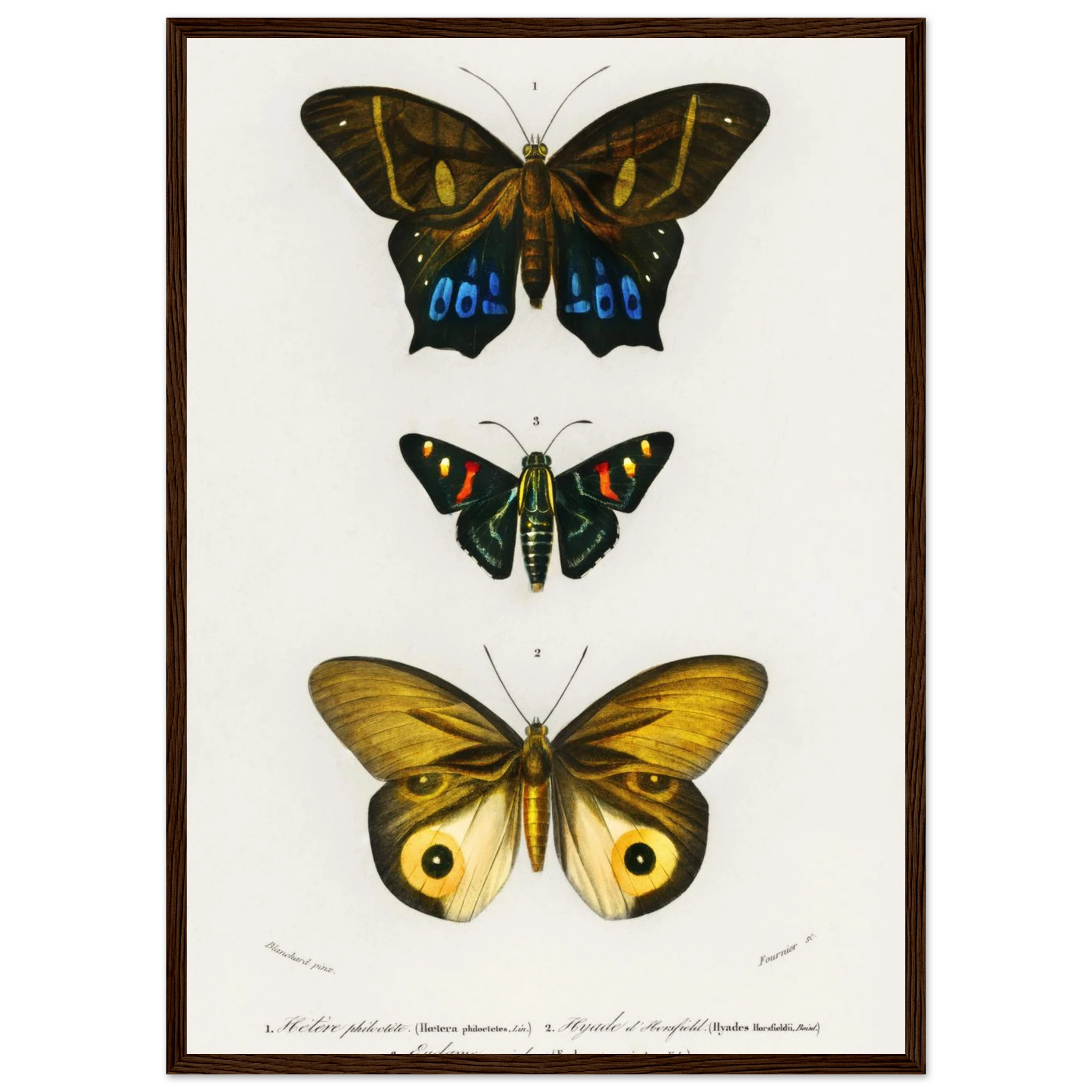 5b59655d-cba7-4f63-8003-6e76e85acb96