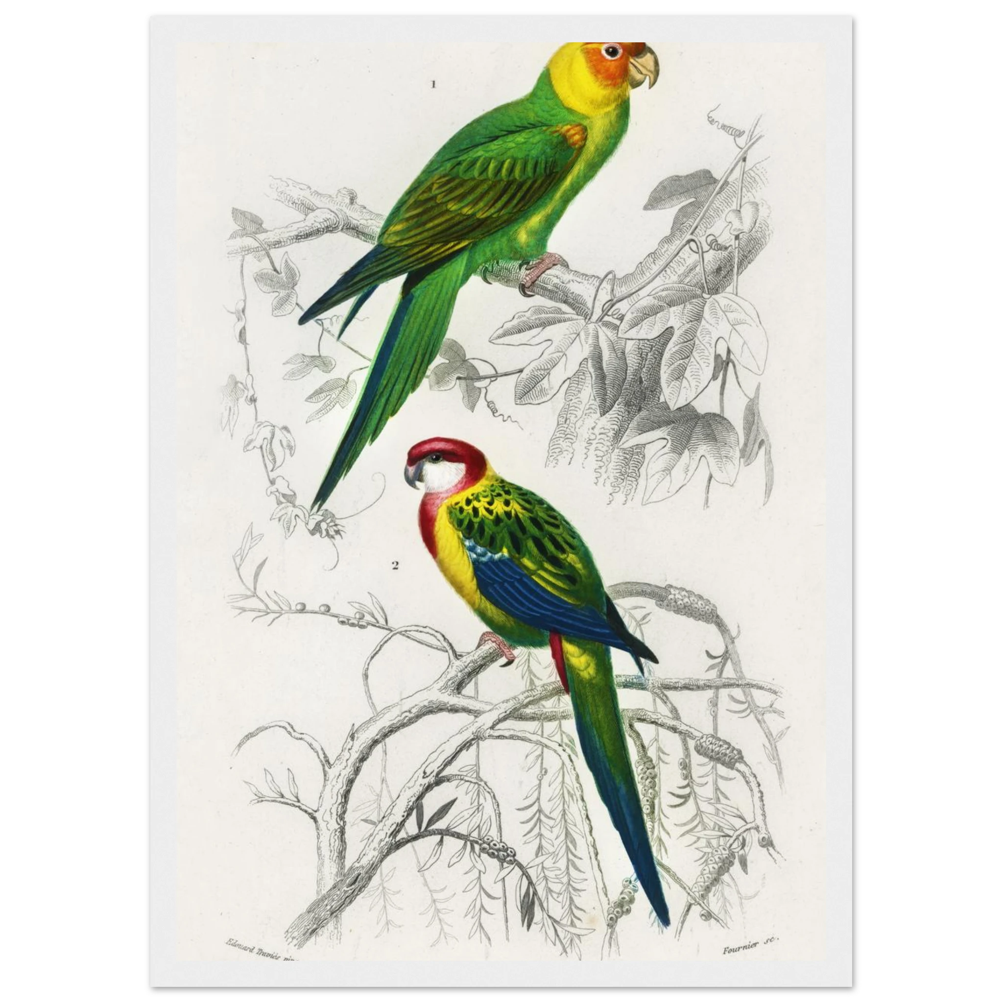 5b695bcb-5b57-4d9c-ab58-a1e155f7358d