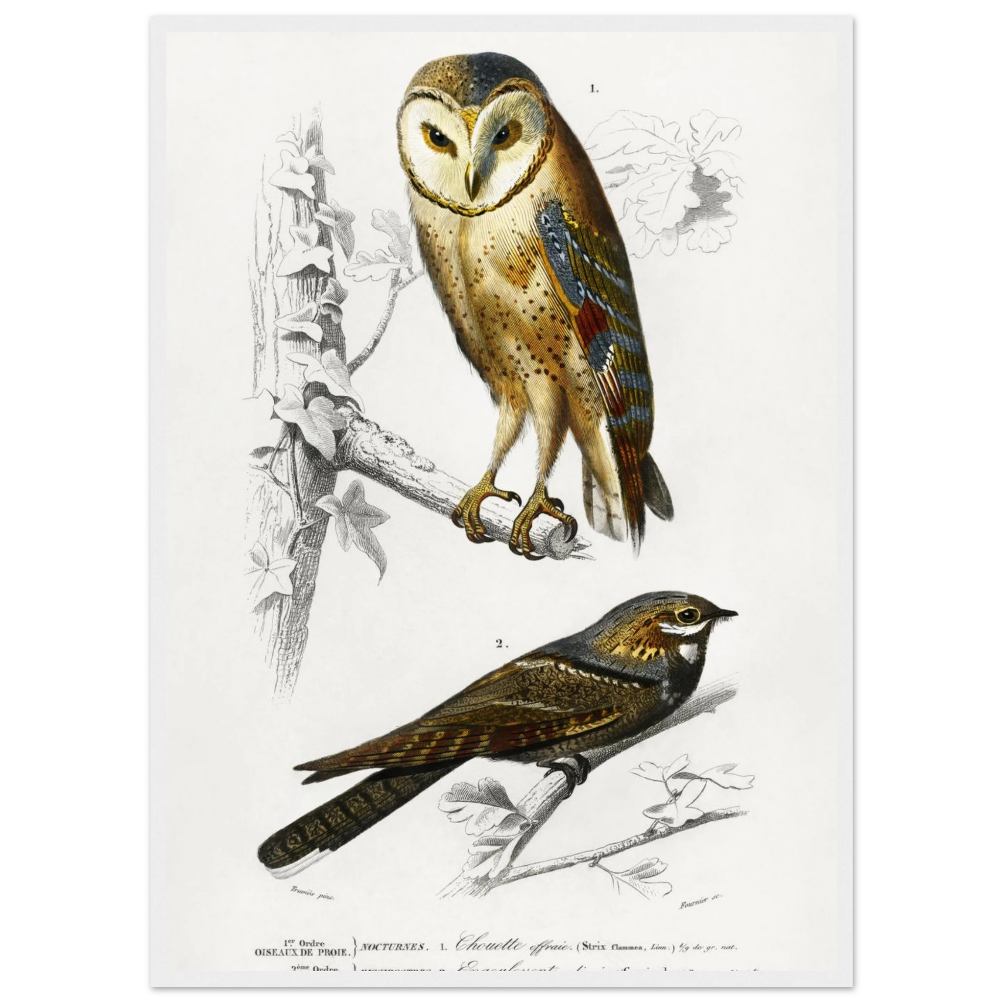 5b85ce8c-f738-4705-a509-b4b8074667e0