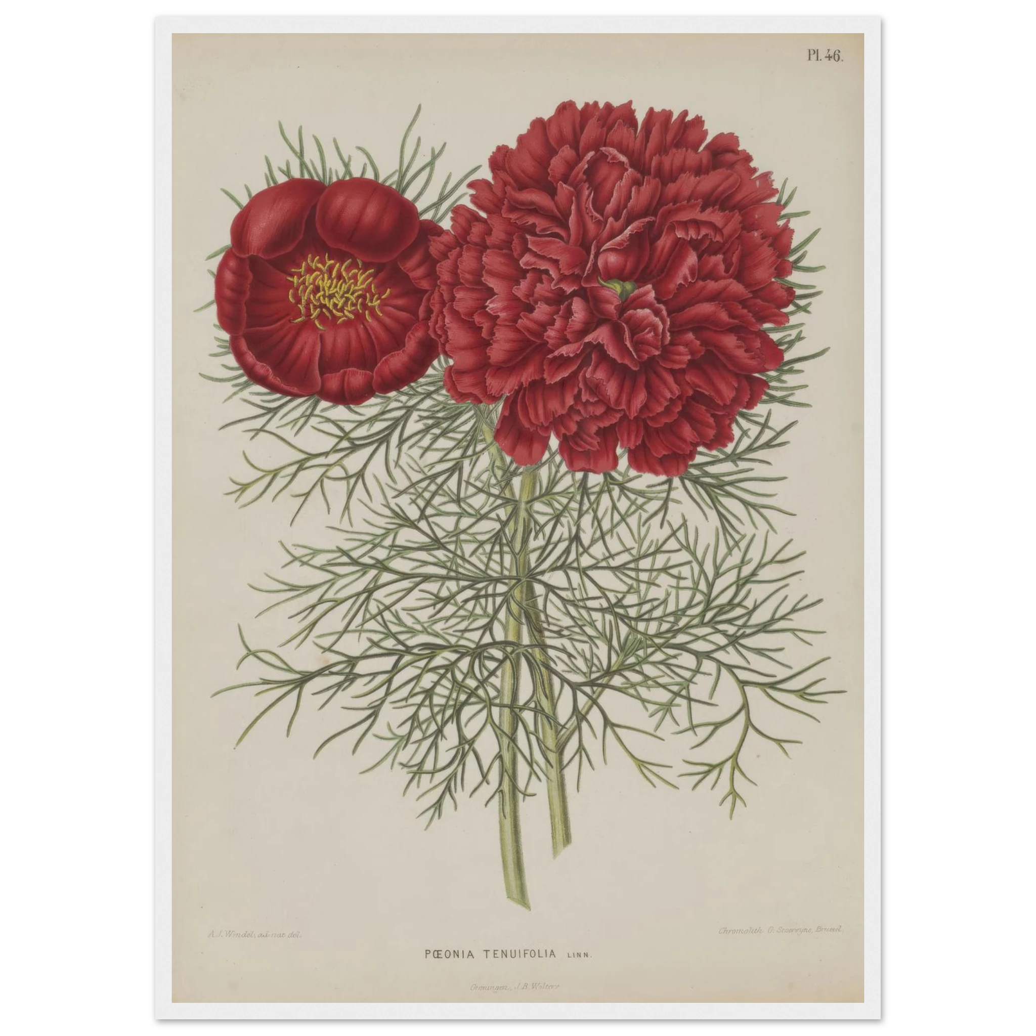 5b975a8d-280f-45d6-8628-9d2d6ad9713b