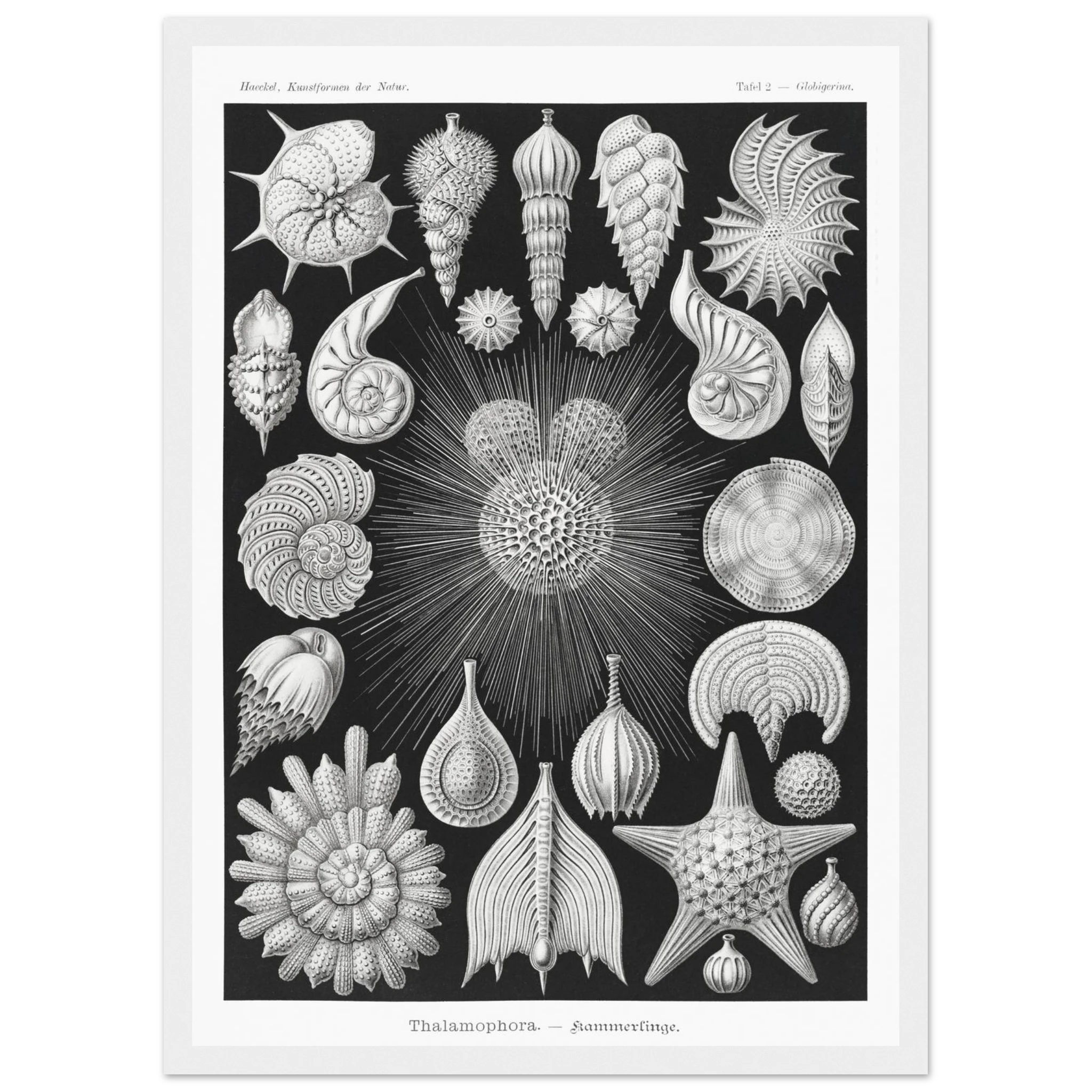 5b9c277a-5560-47b2-ab87-cf6252354246