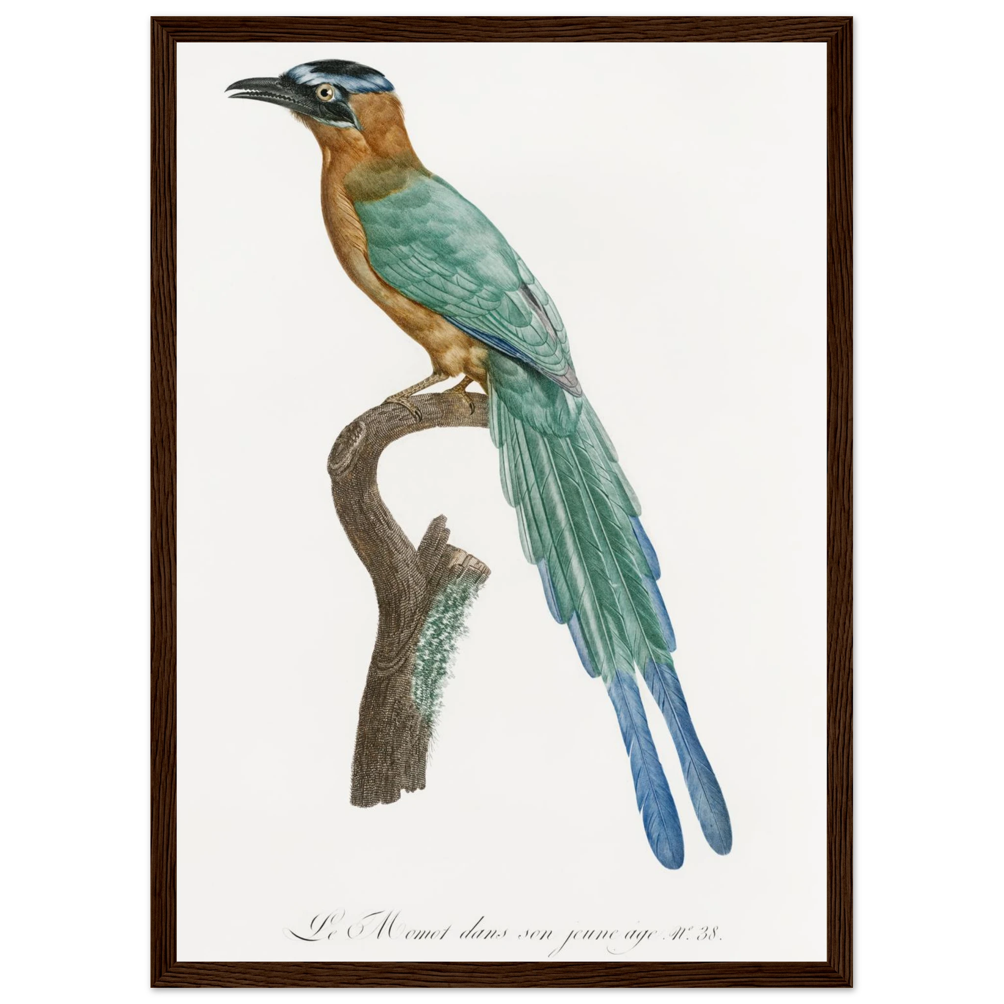 5ce3d3be-e9d2-448d-b549-2b49a6a9e6dd