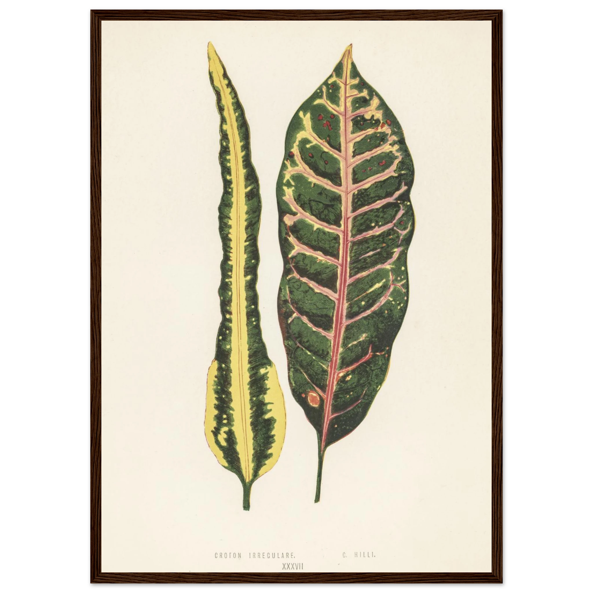 5d1a8960-772c-4f05-85a1-cda70ca45d01