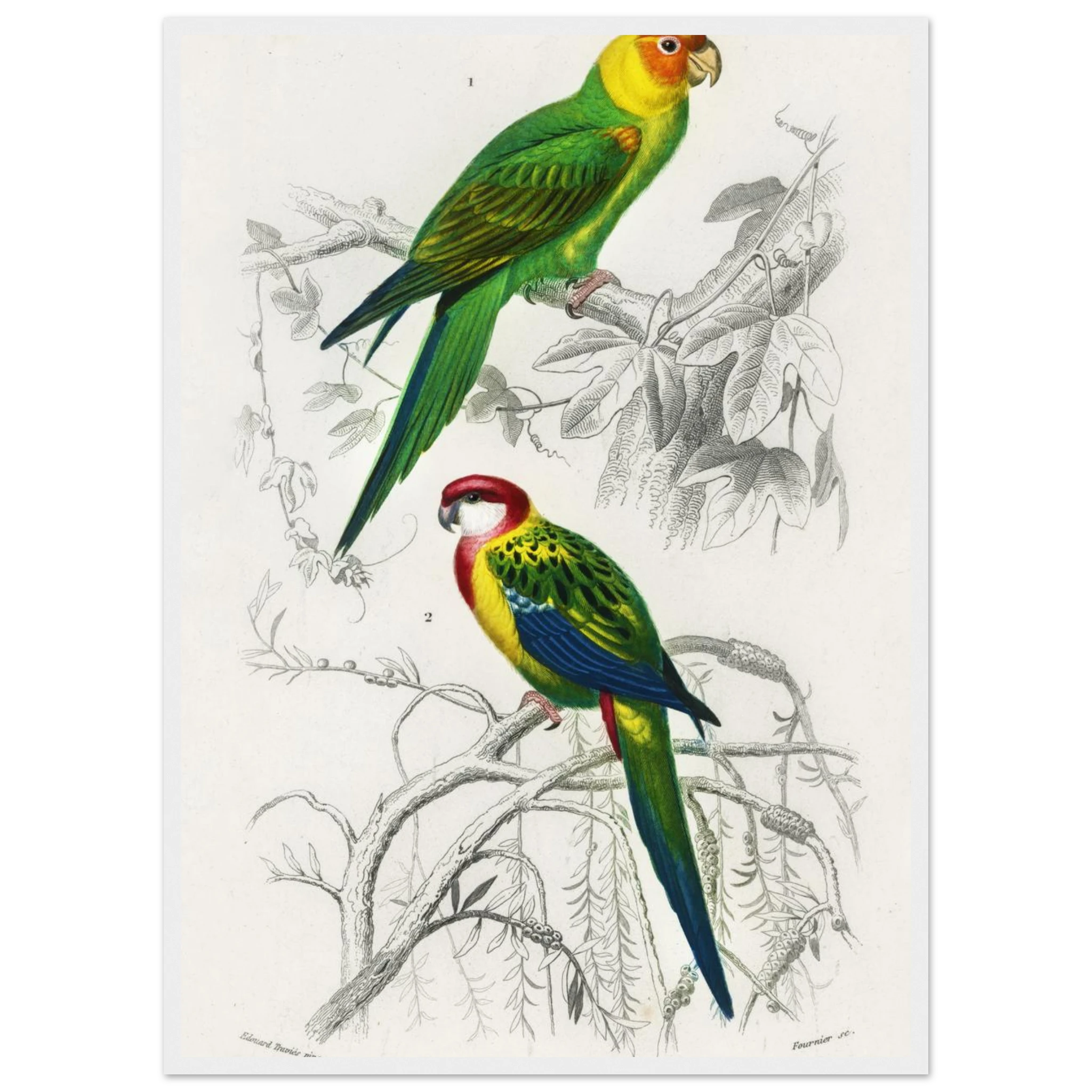 5d6b0434-e8e3-4b60-a0a7-e800a5e534cb