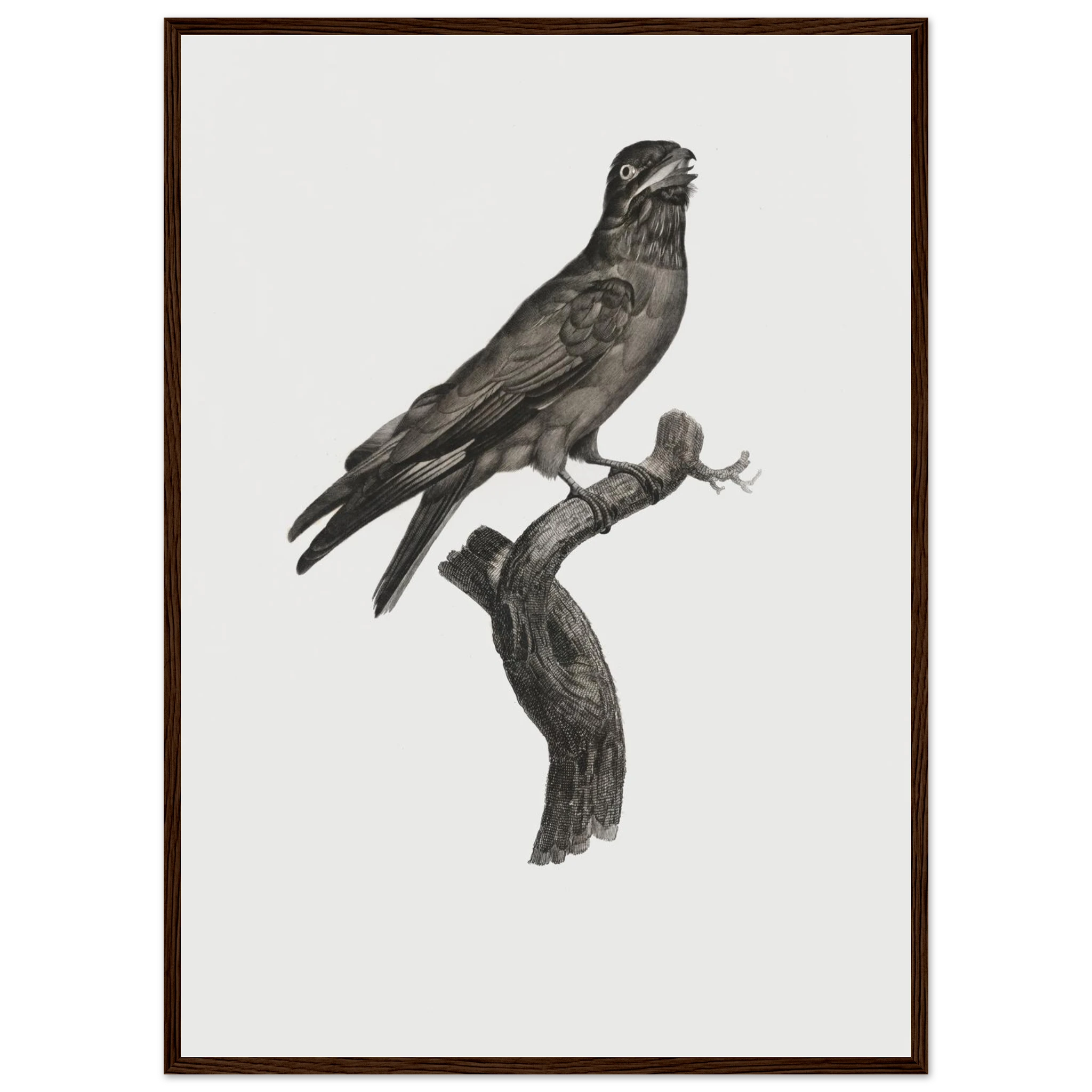 5d994fda-ec04-497a-ac3c-411dbea8e68e