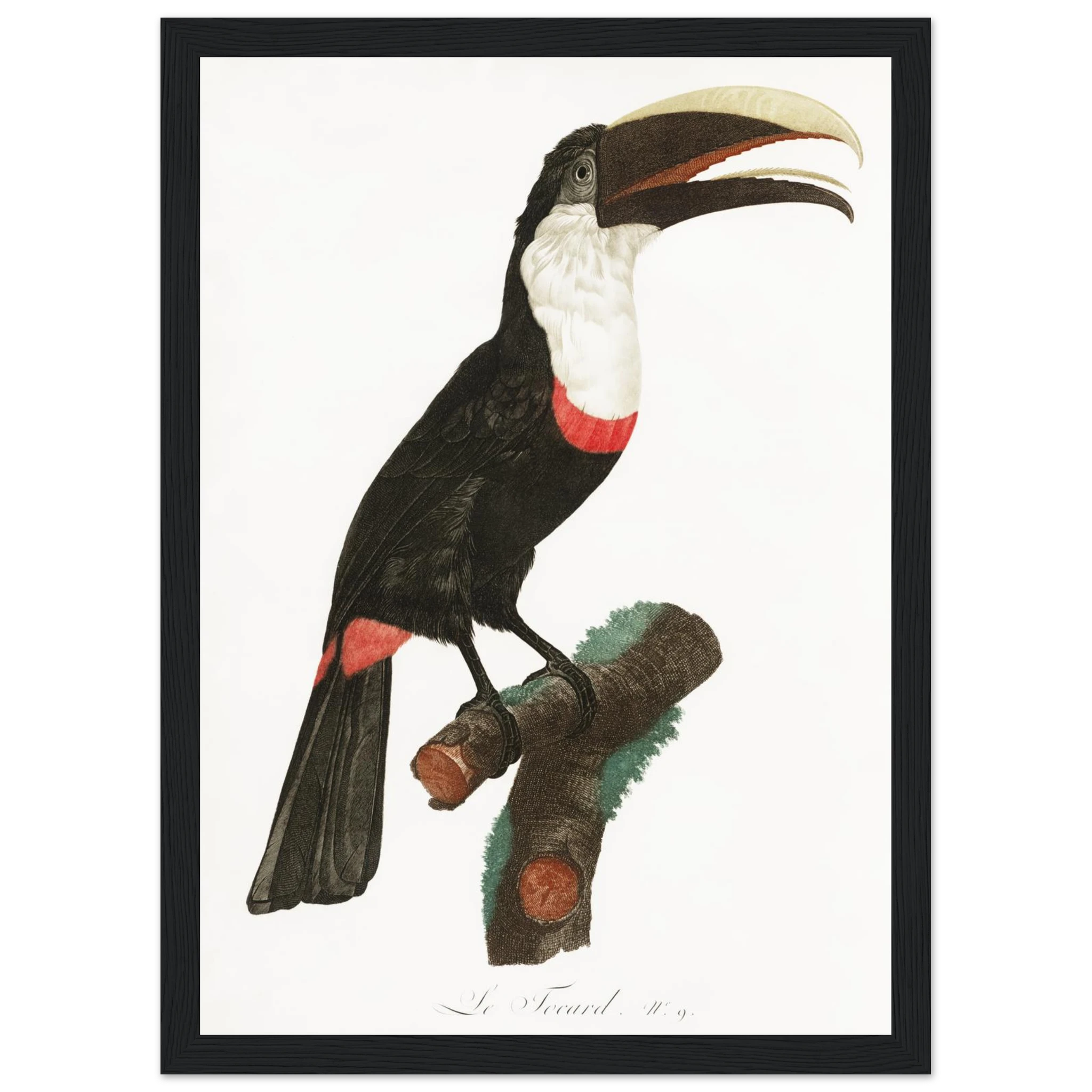 5db7ae38-6a30-4234-92a7-699953845529