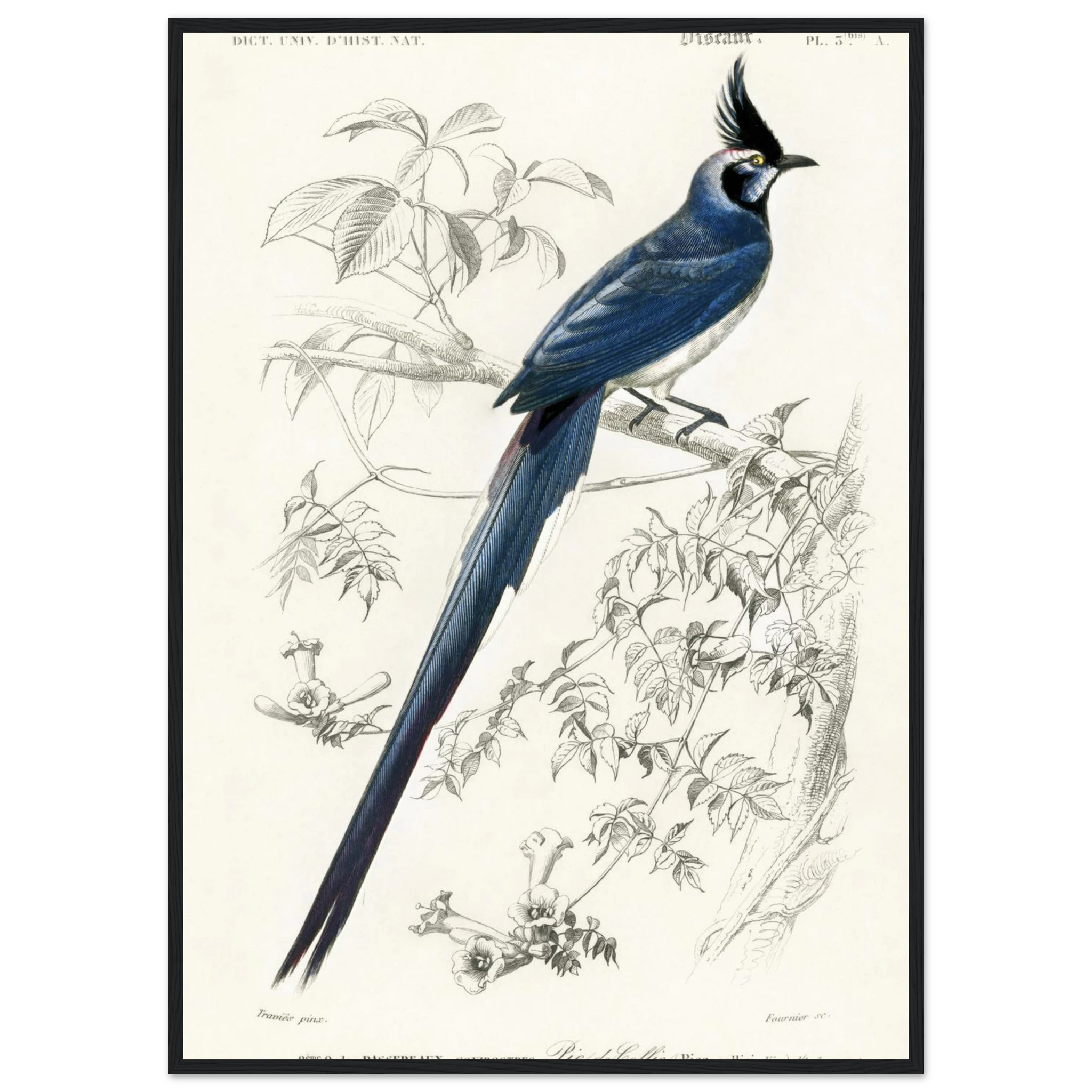 5deb95b1-c84b-40d6-9312-dd38dc7cac1c