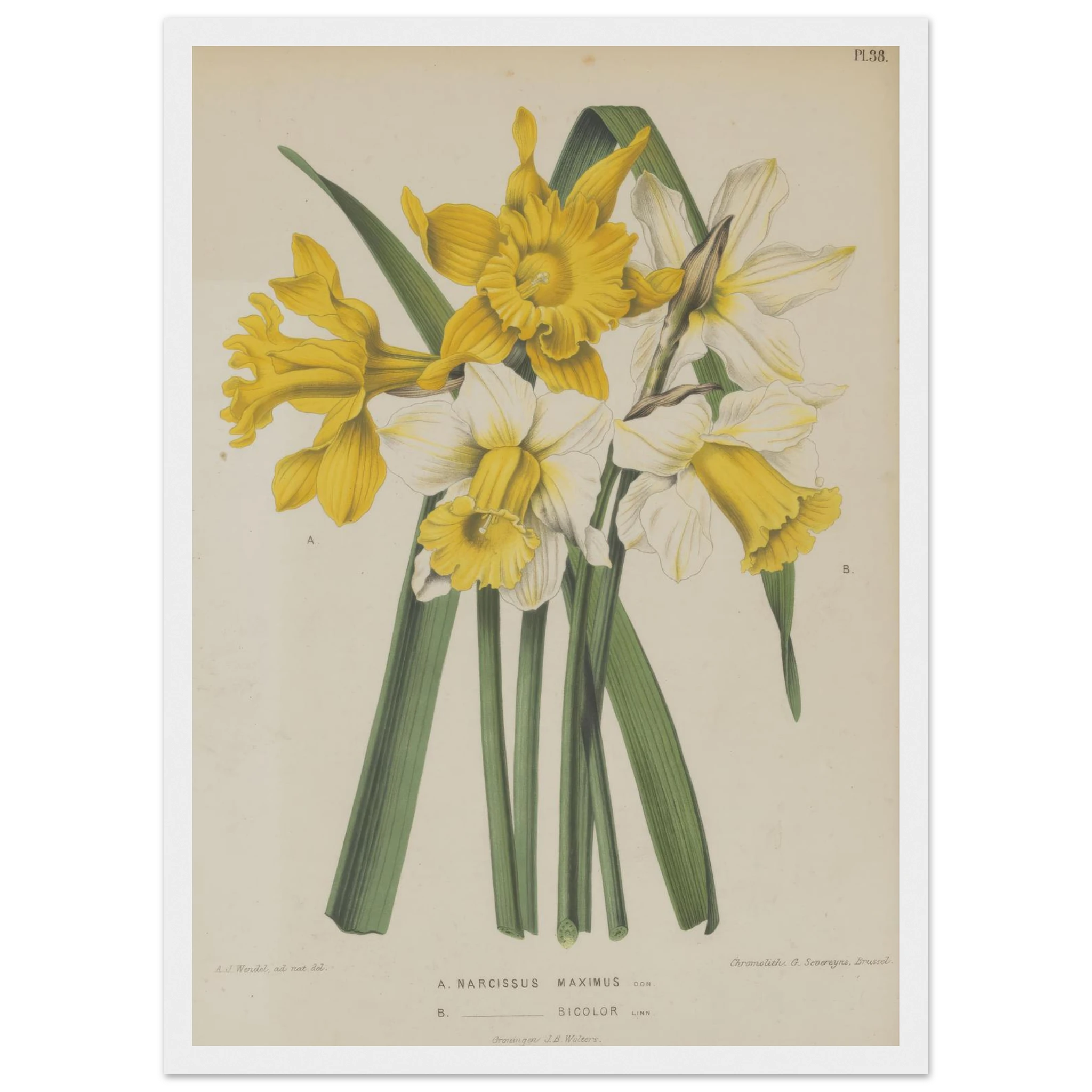 5e06f289-557e-49b0-8619-aa2c4677476d