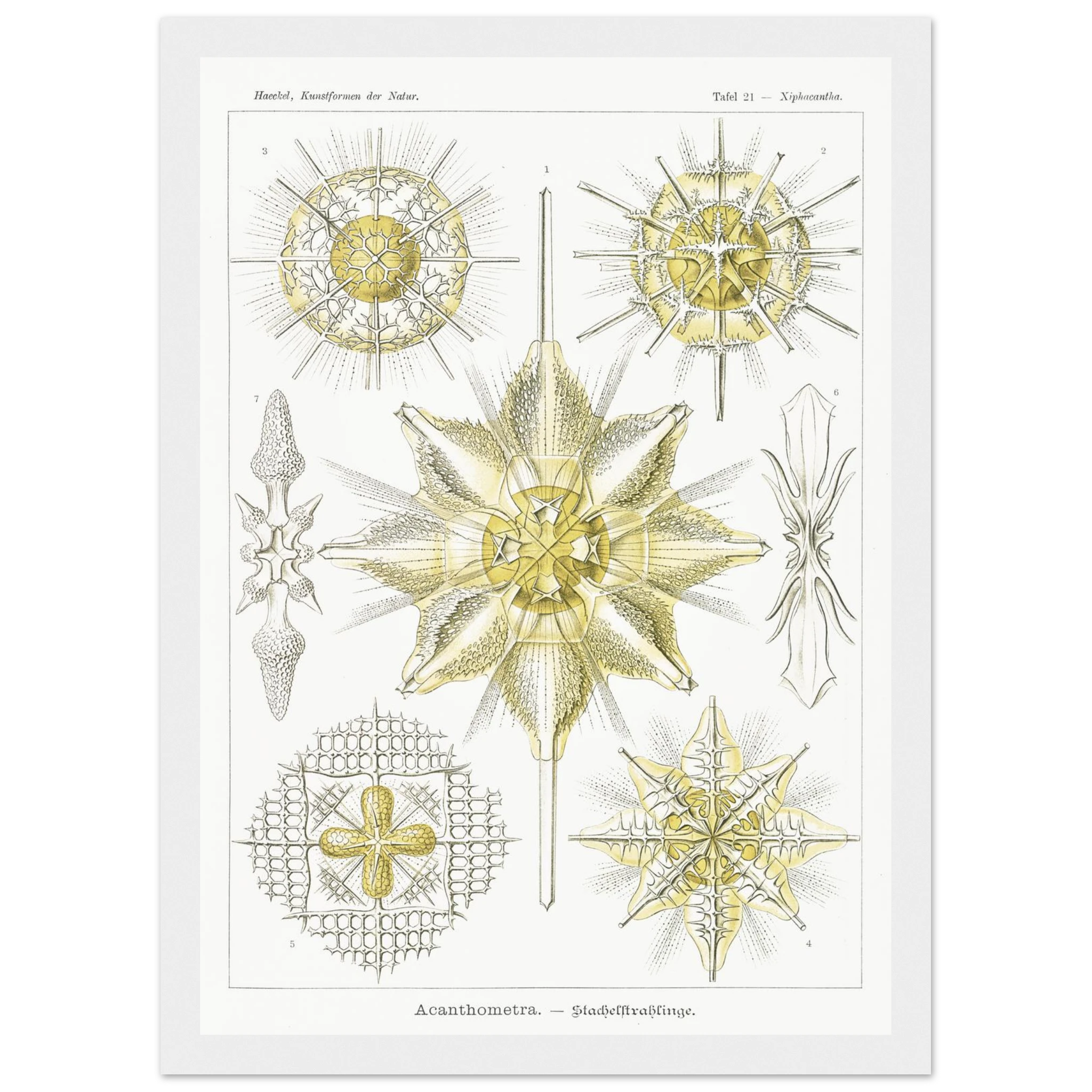 5e6ddc6a-0519-4ad5-8e92-1bcd8ee821e9