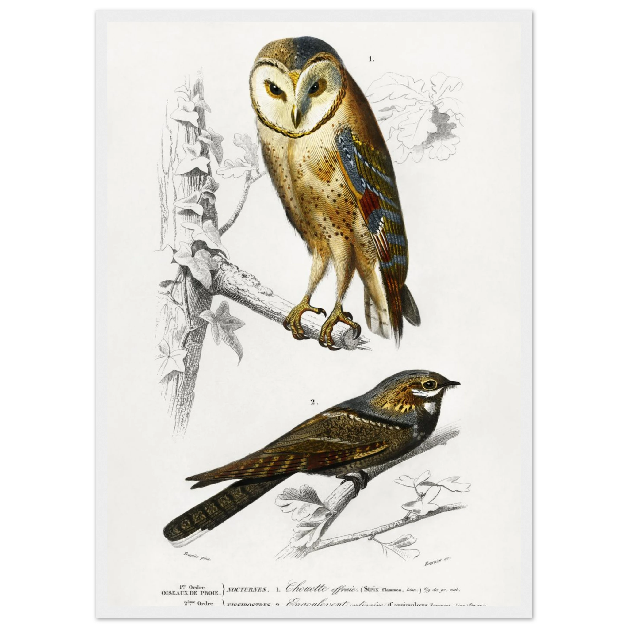 5eb4b450-e0ba-4e69-b6f5-ba356215aace