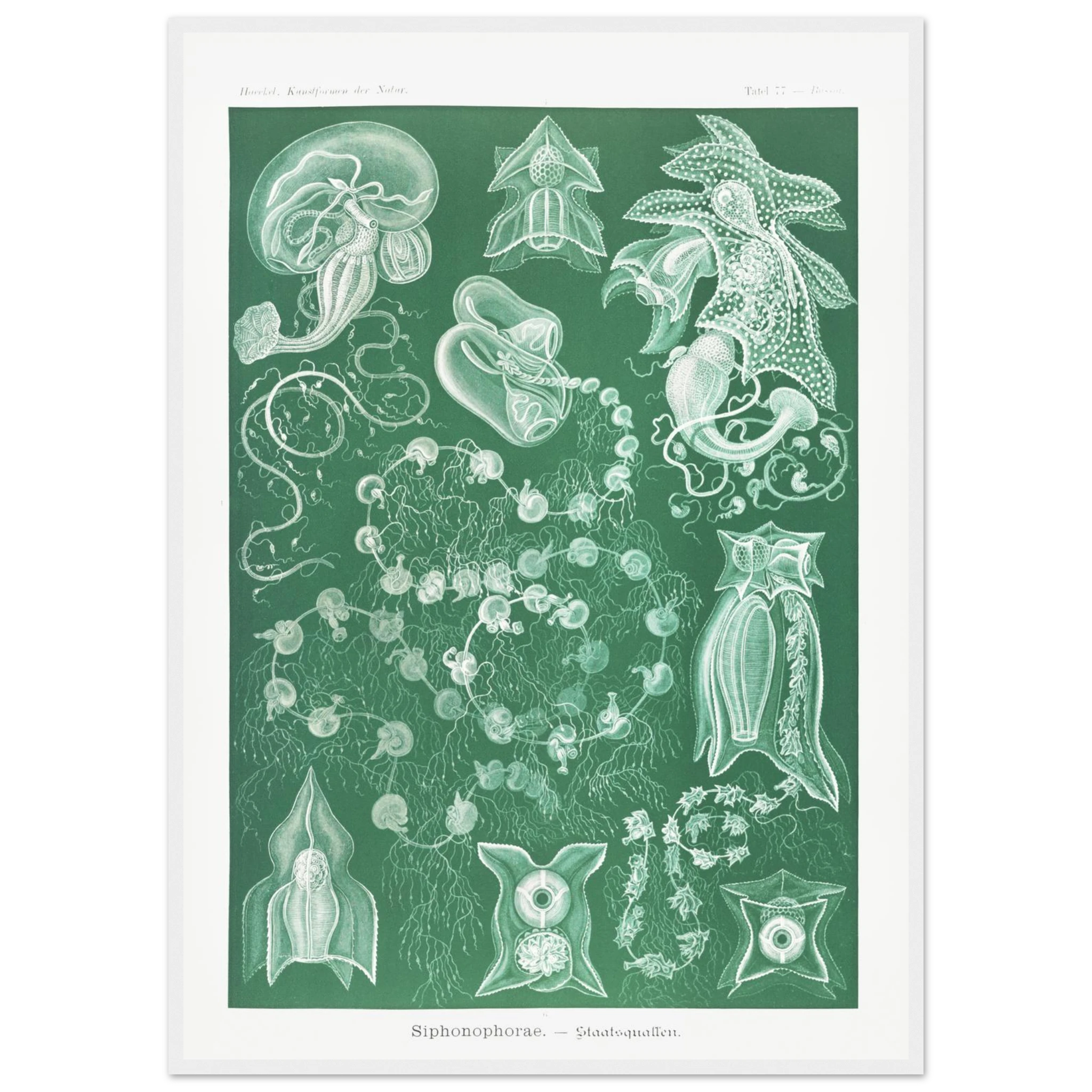 5eb8b54f-caf2-4530-843b-99bdb5caf1fb