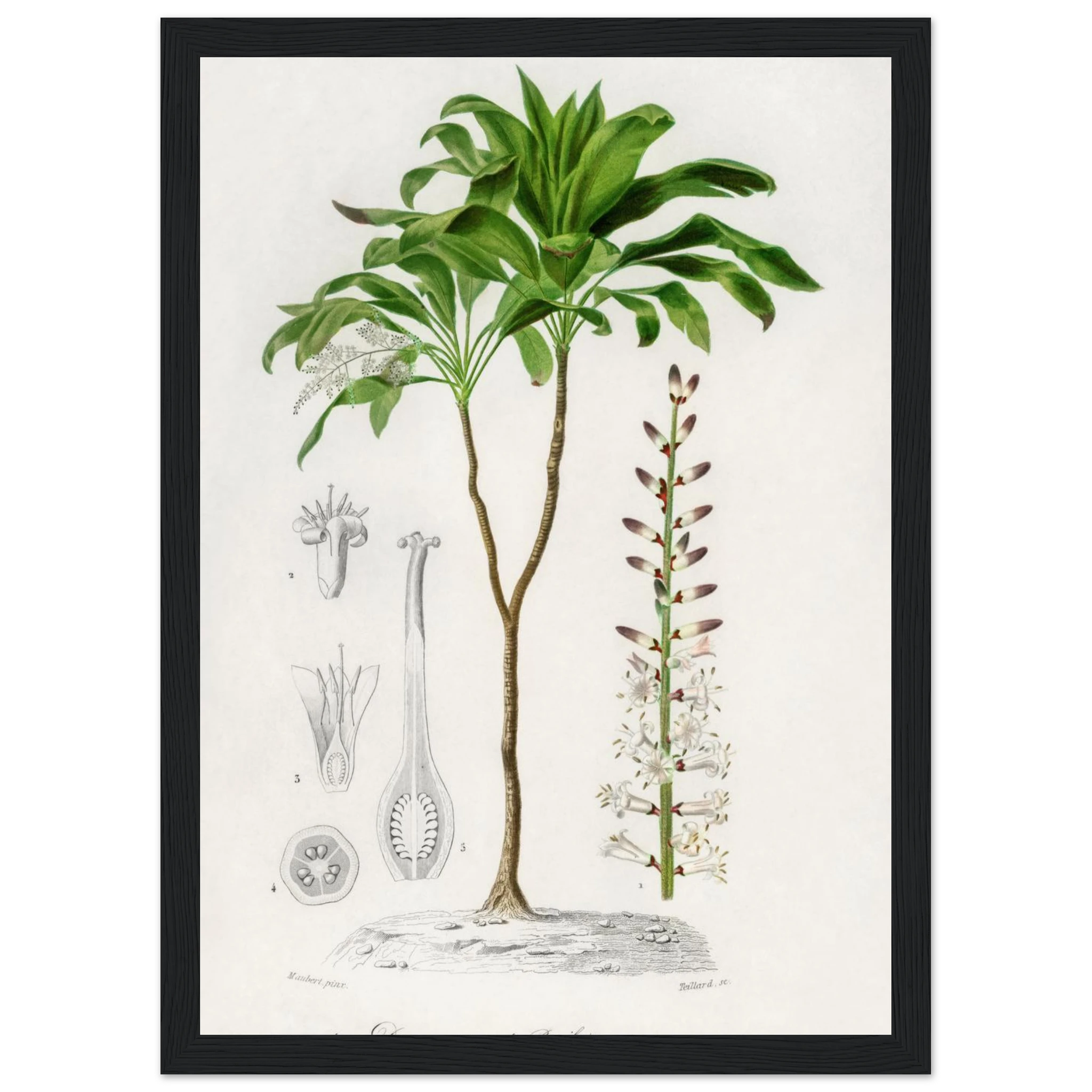 5edd2891-6893-4dee-a127-5fa243d7c659