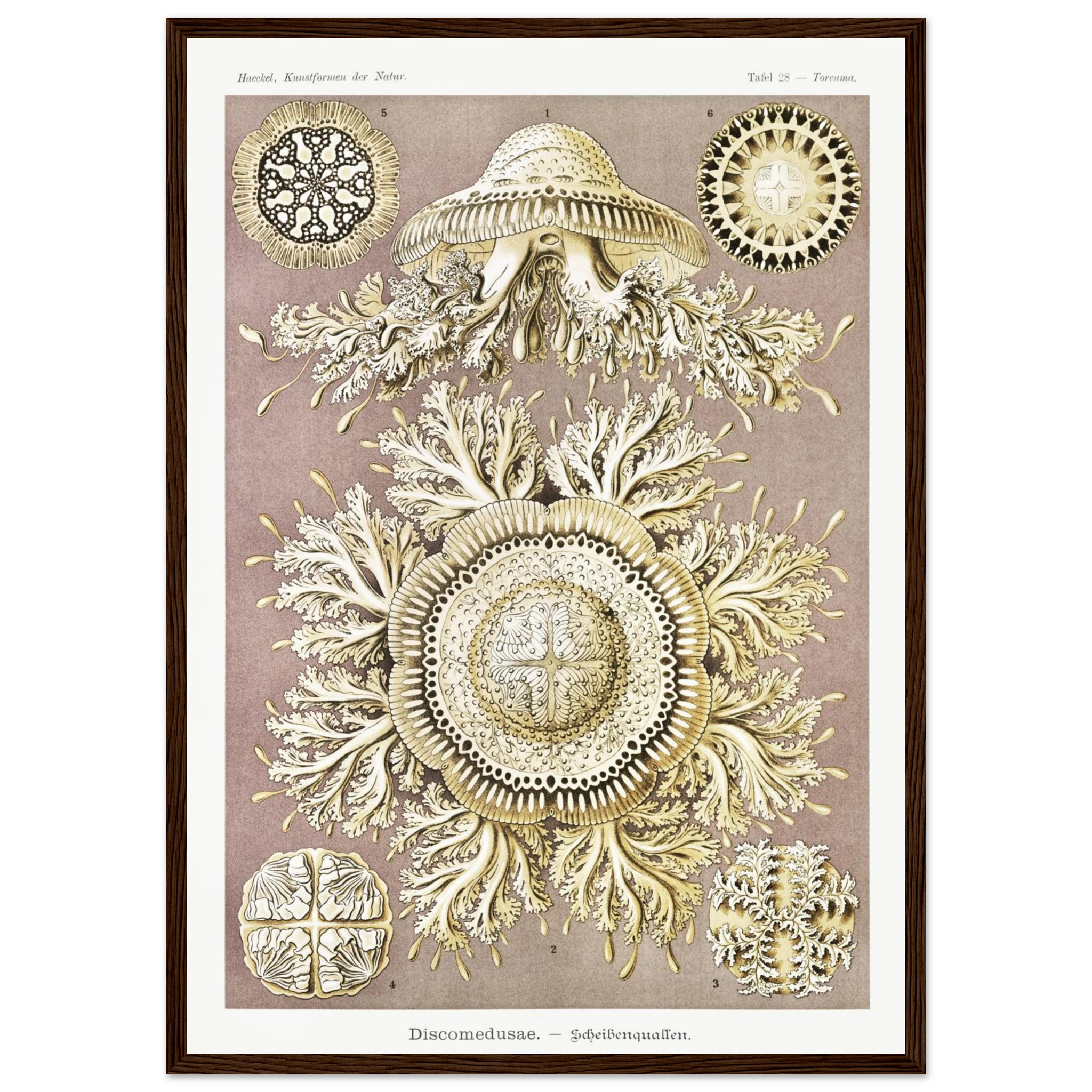 5ee859bb-44e0-4b5f-b144-136a6935f6a8