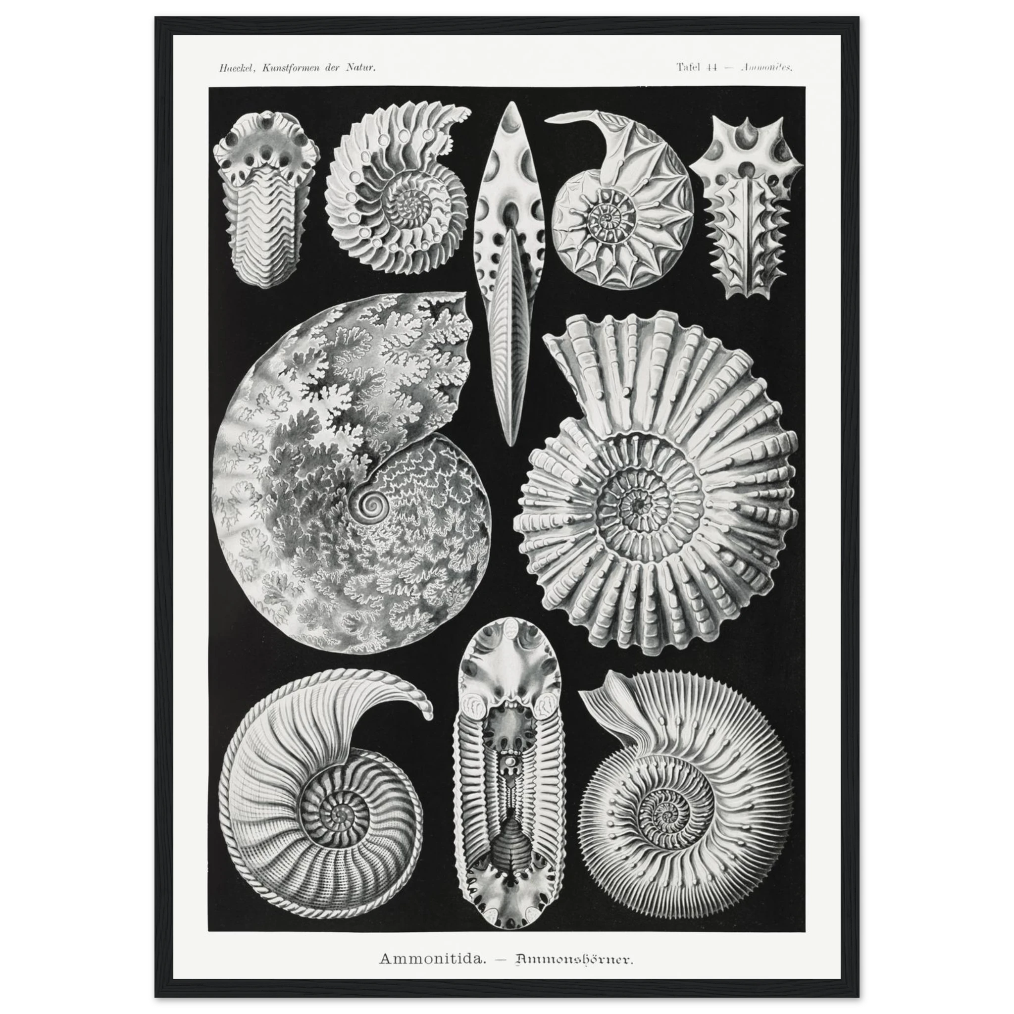 5ee9a65a-3bf8-49c5-bd29-0f125646d136