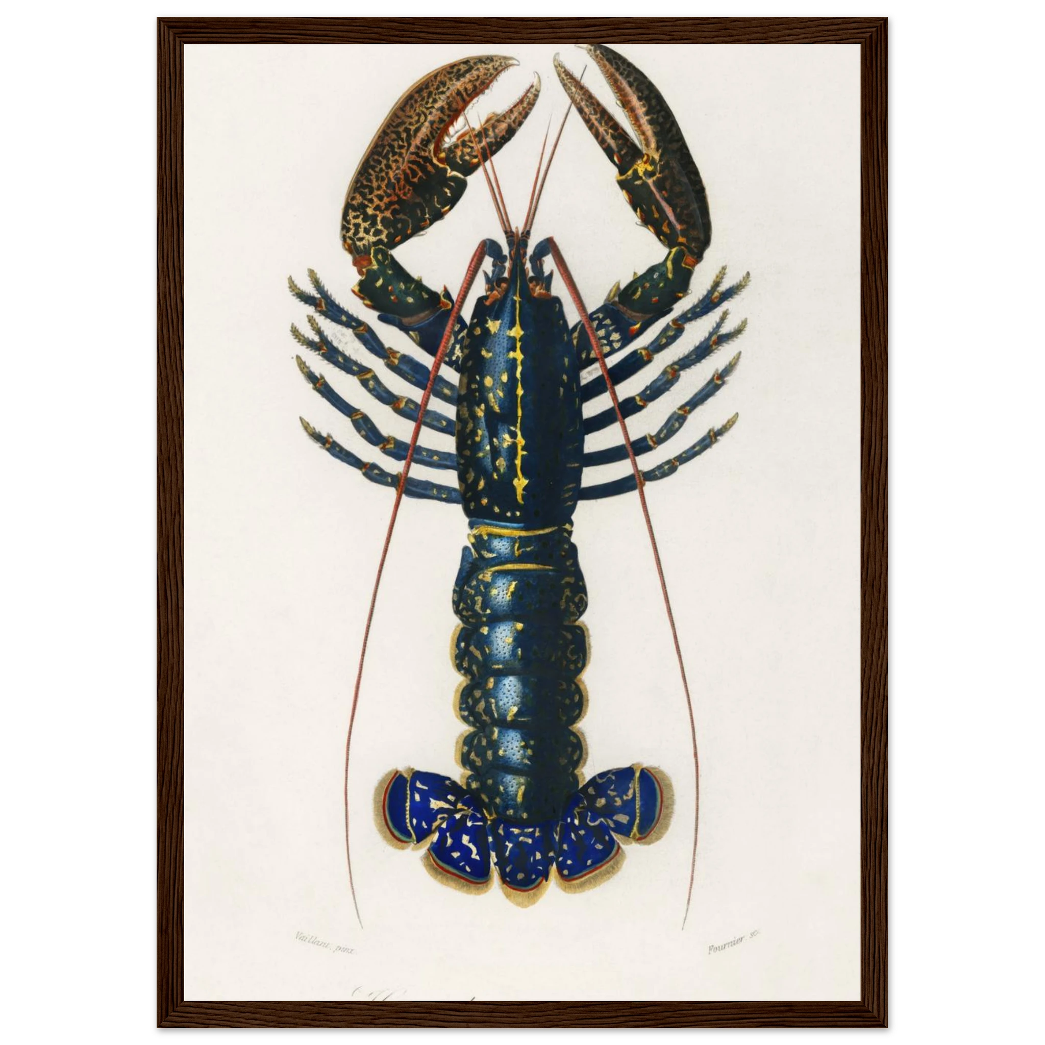 5eeca9c2-a060-4853-9cd1-abbc1709e1ba