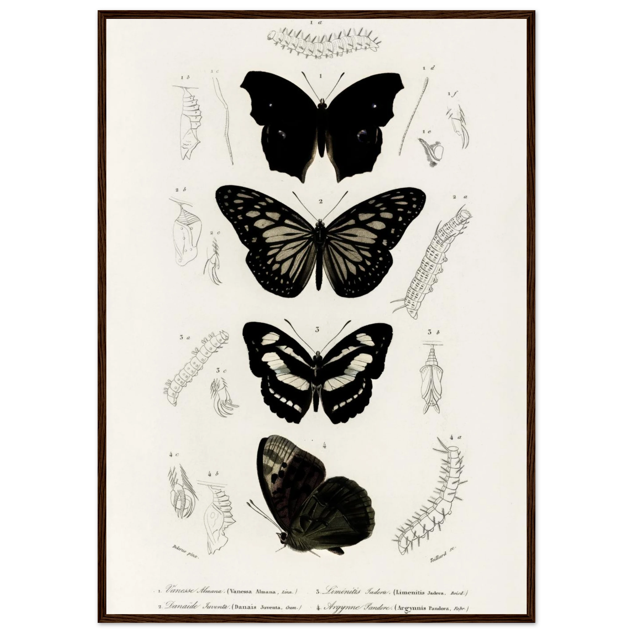 5f5d59e6-8db3-4018-b650-89369793b7d0