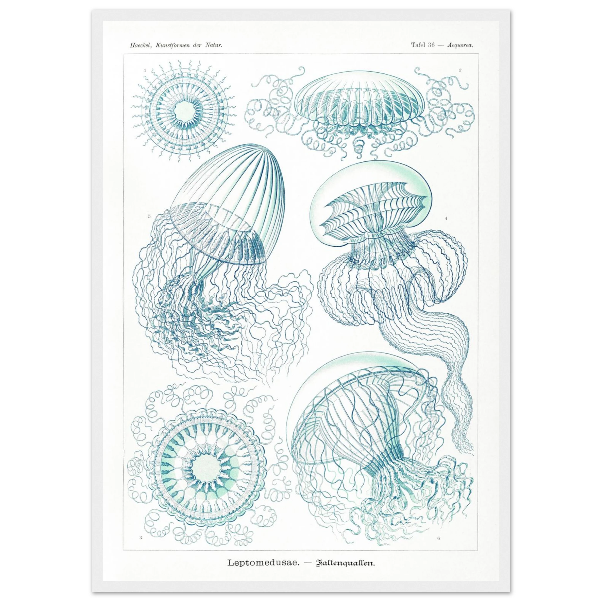 5fdde1f5-c44c-47d5-9068-9460827a17e5