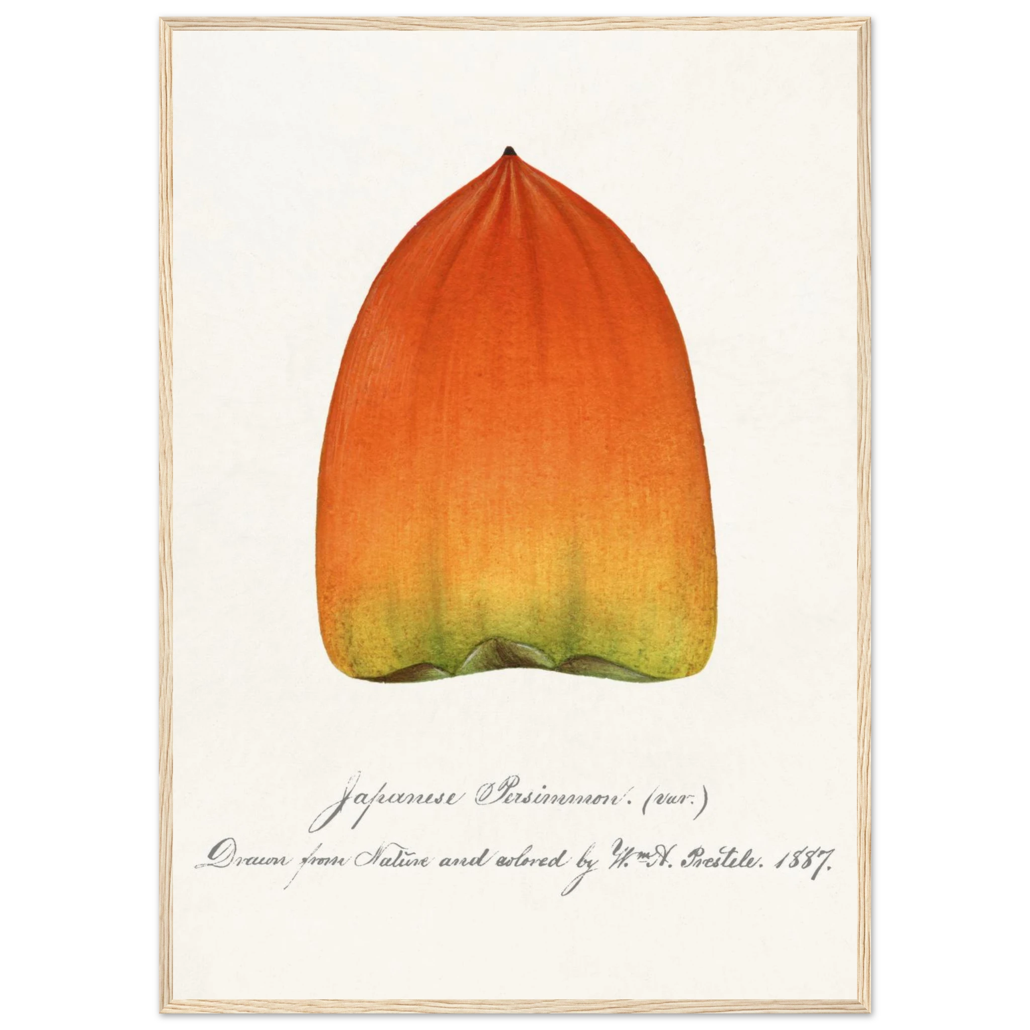 6021add6-2240-469f-b596-1e028811ea8a