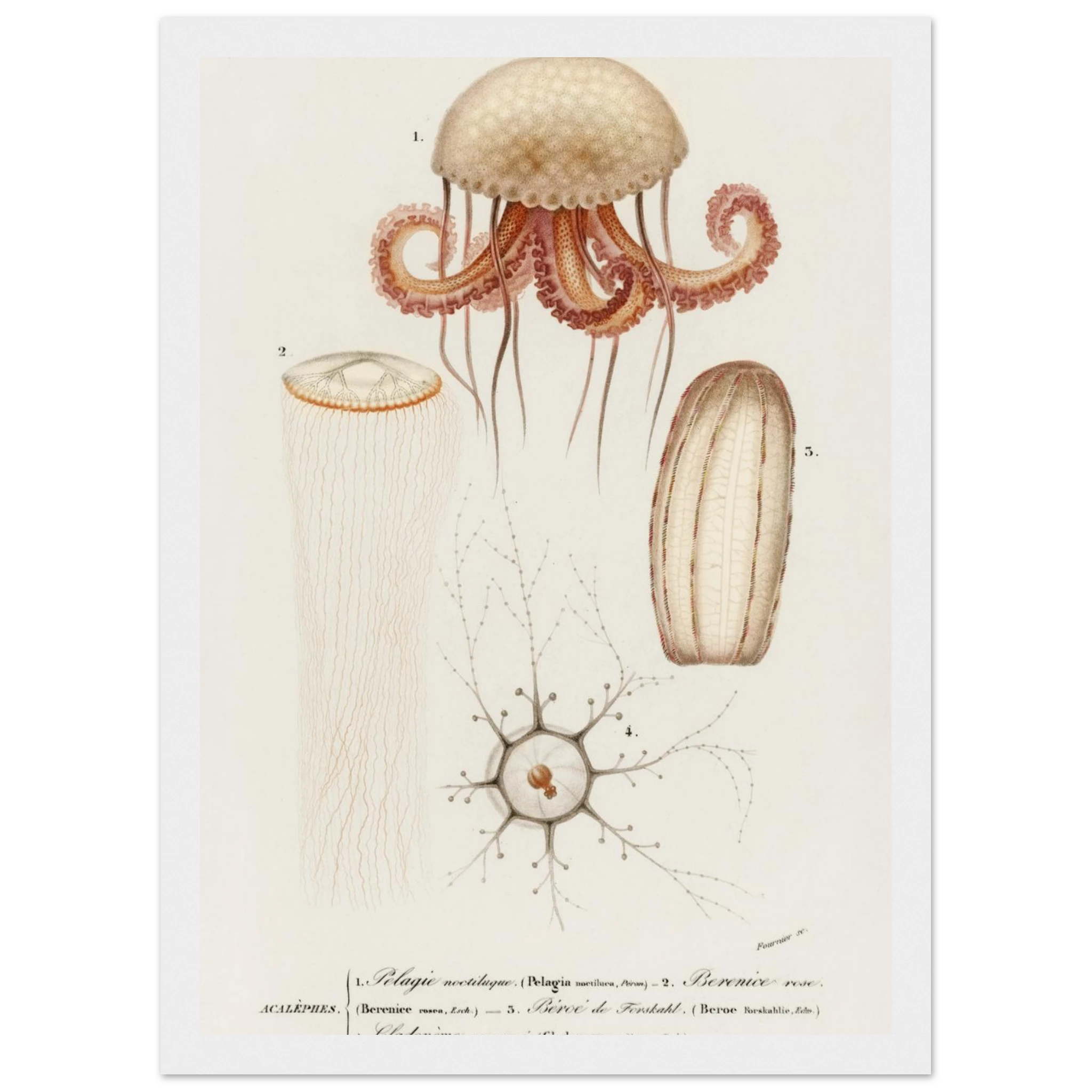 60420a79-6c84-4810-adea-6529f0db6cd1