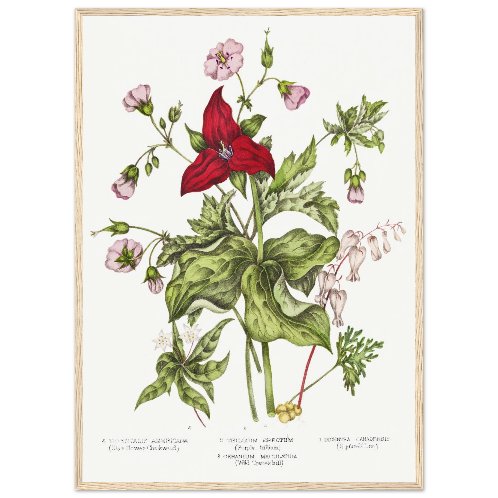 609751b3-d900-49af-a680-ef83e40b948c