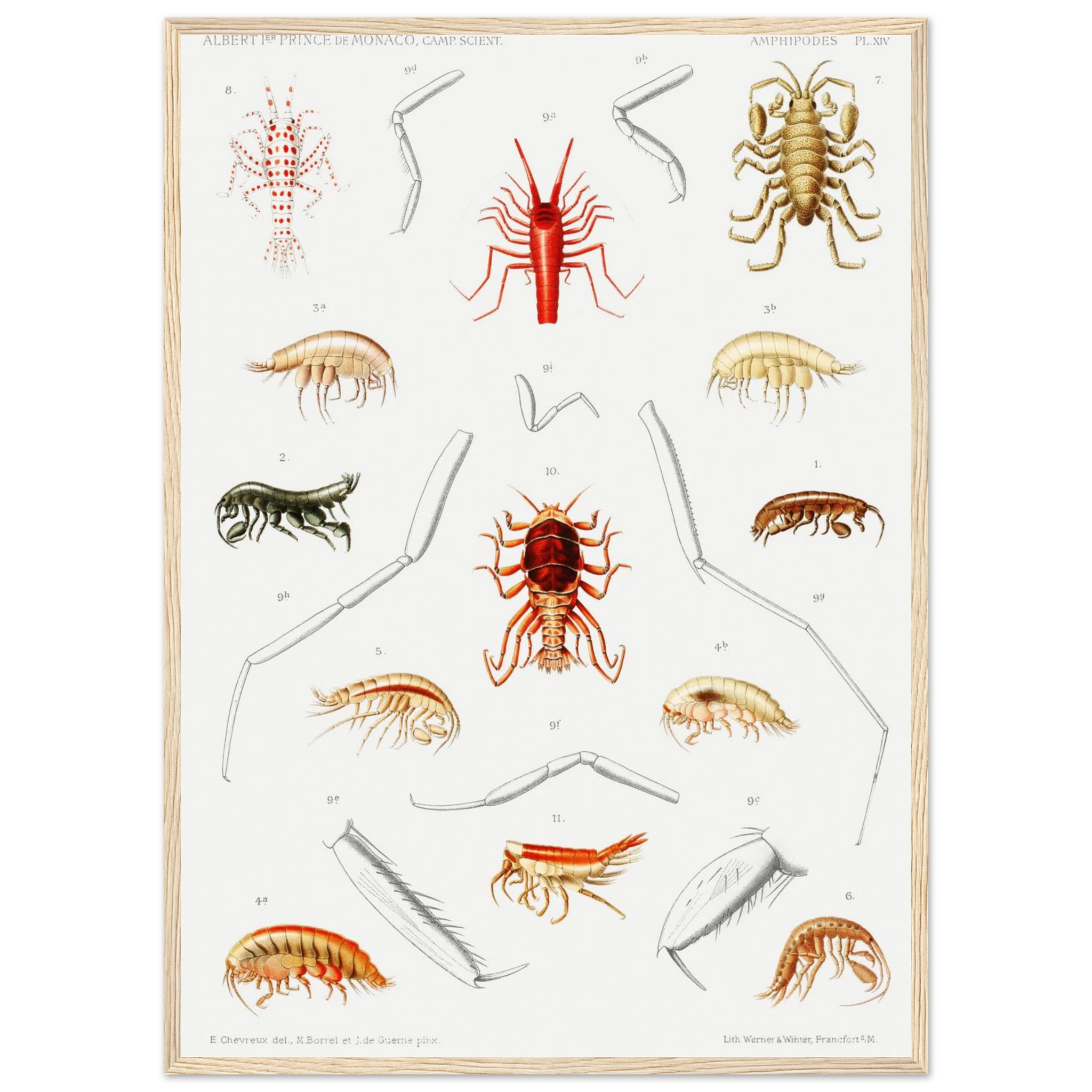 60e7a484-d36e-45d1-a5e5-6a5724c18cec