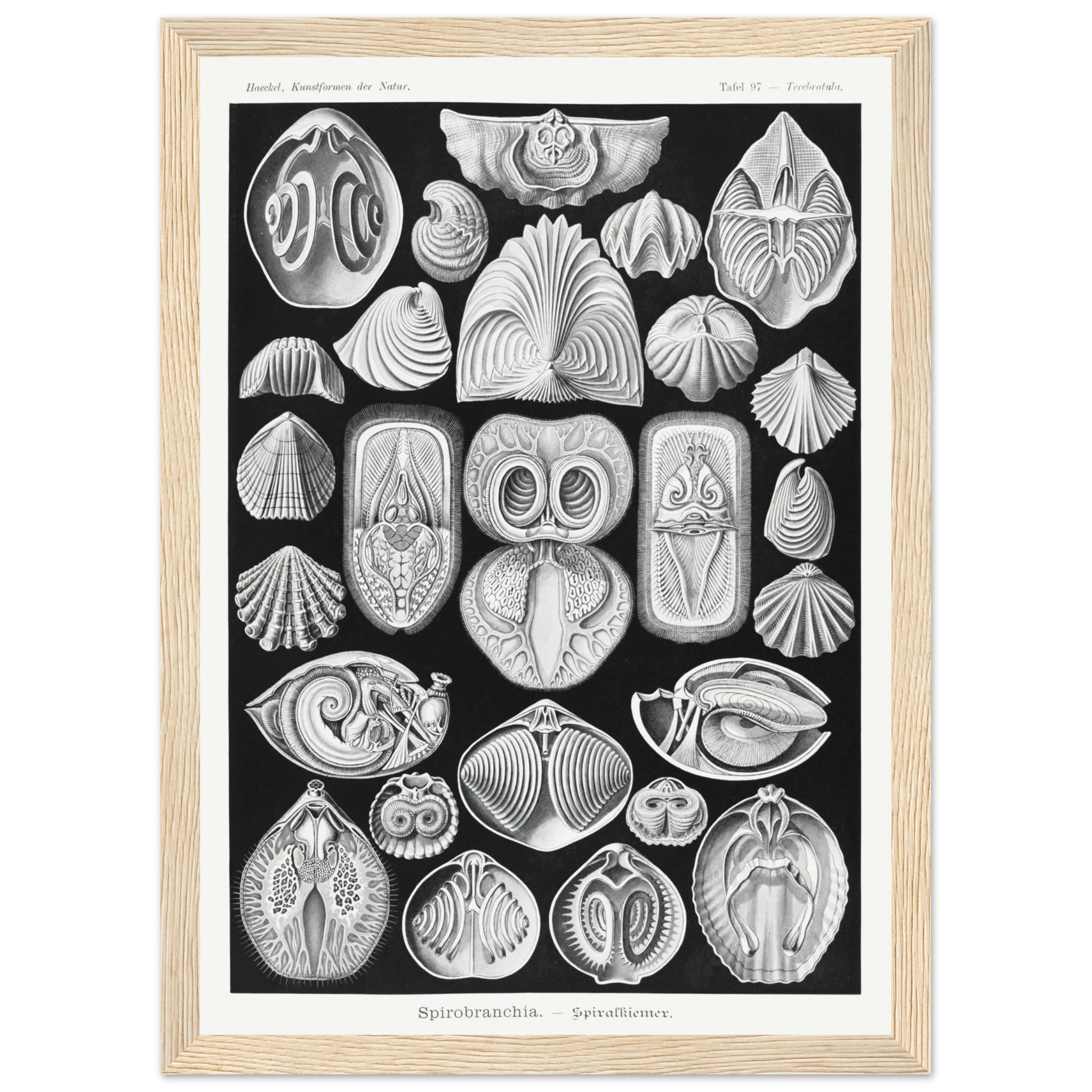 61b31707-fbce-438d-9d43-9bf0b2ea9ec1