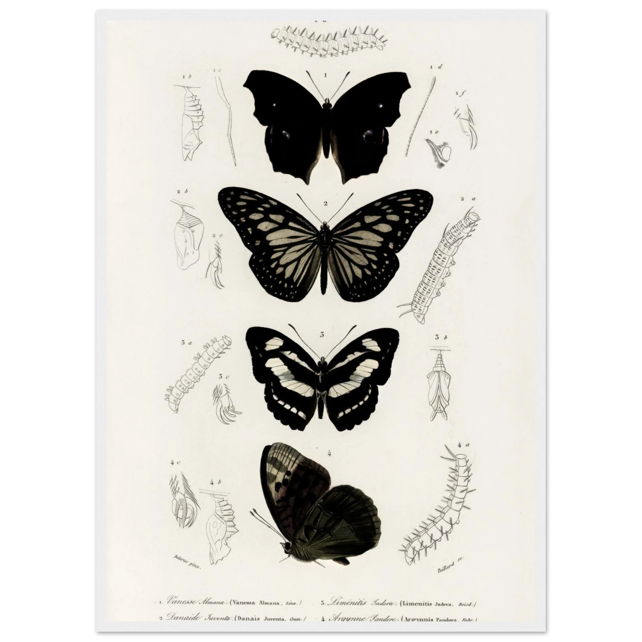 61e5d92f-5349-430c-943d-b89cfc86ef1b