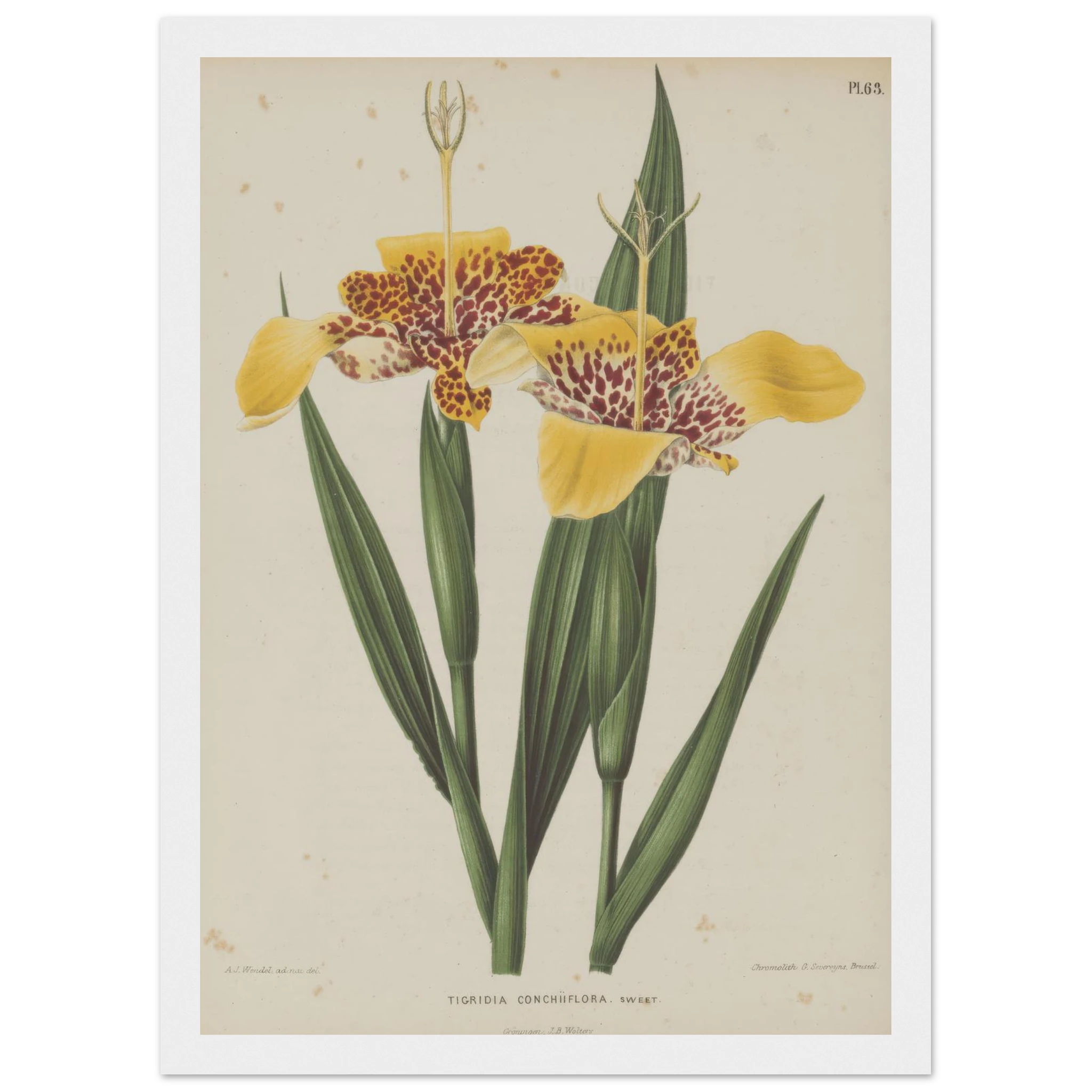 61f8b408-2bad-4066-8f47-a75c6d429afb