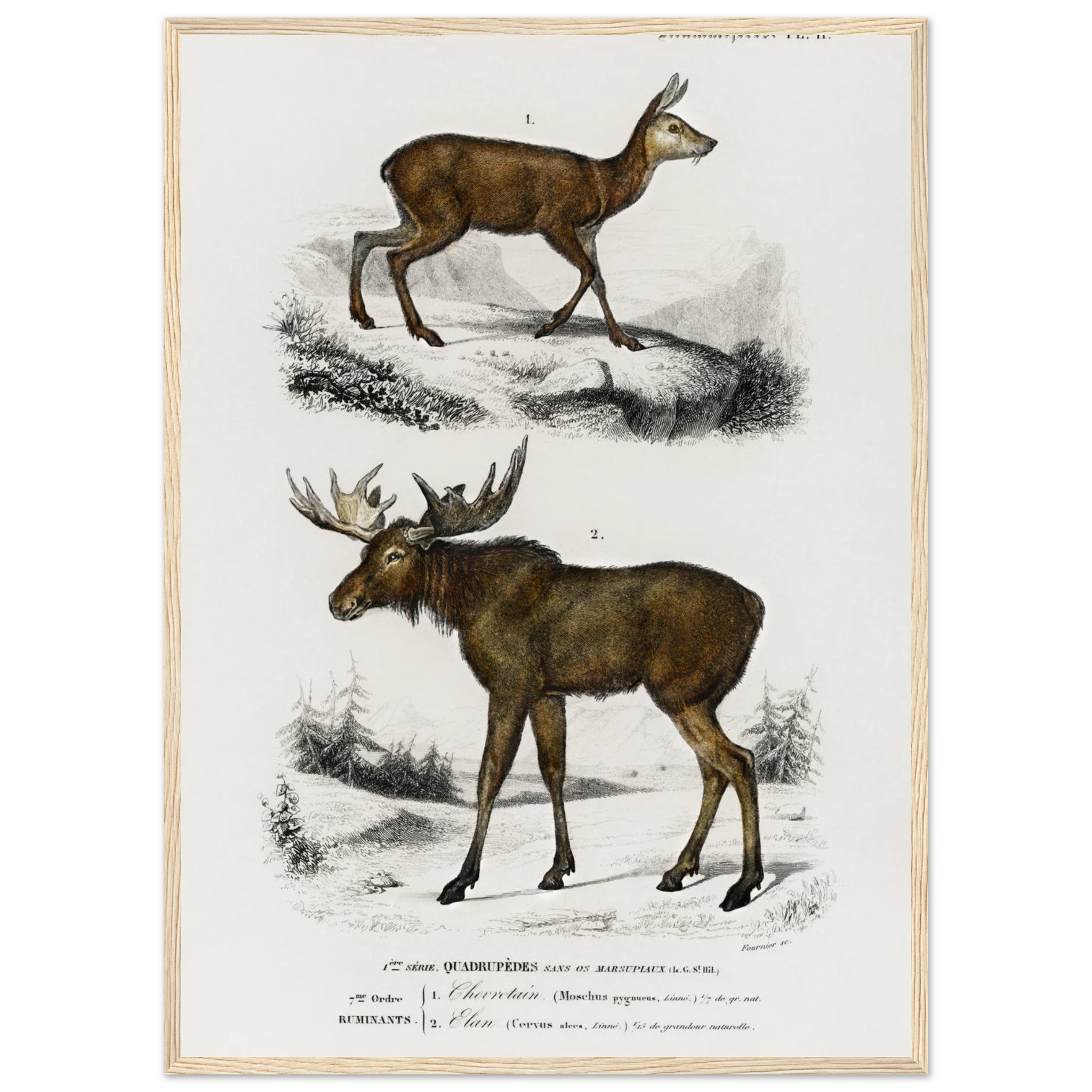 6222a4b2-cade-4c45-a78f-c3ba18ed03f8