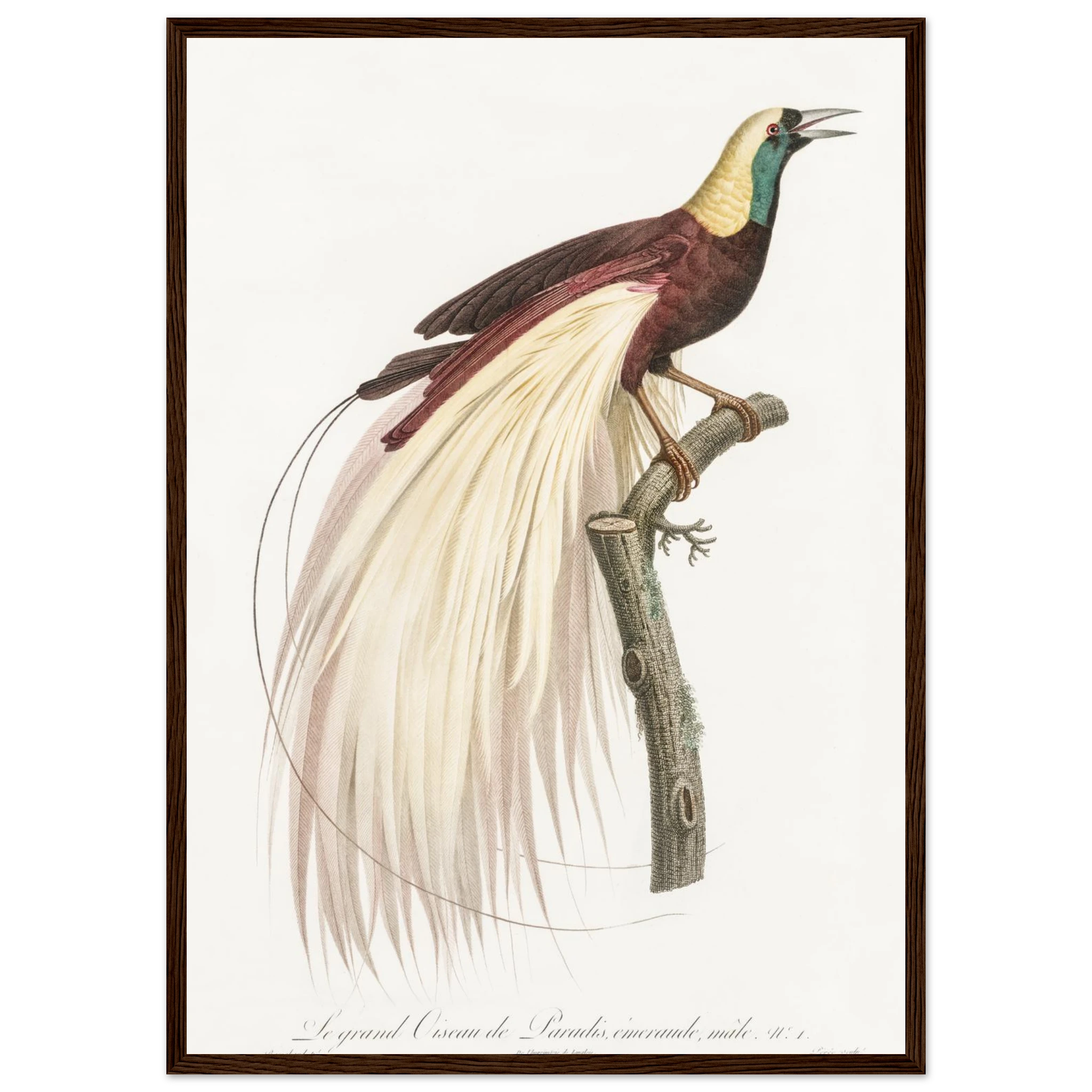 622b016d-9eb7-4bbf-8adb-1e14303ac931