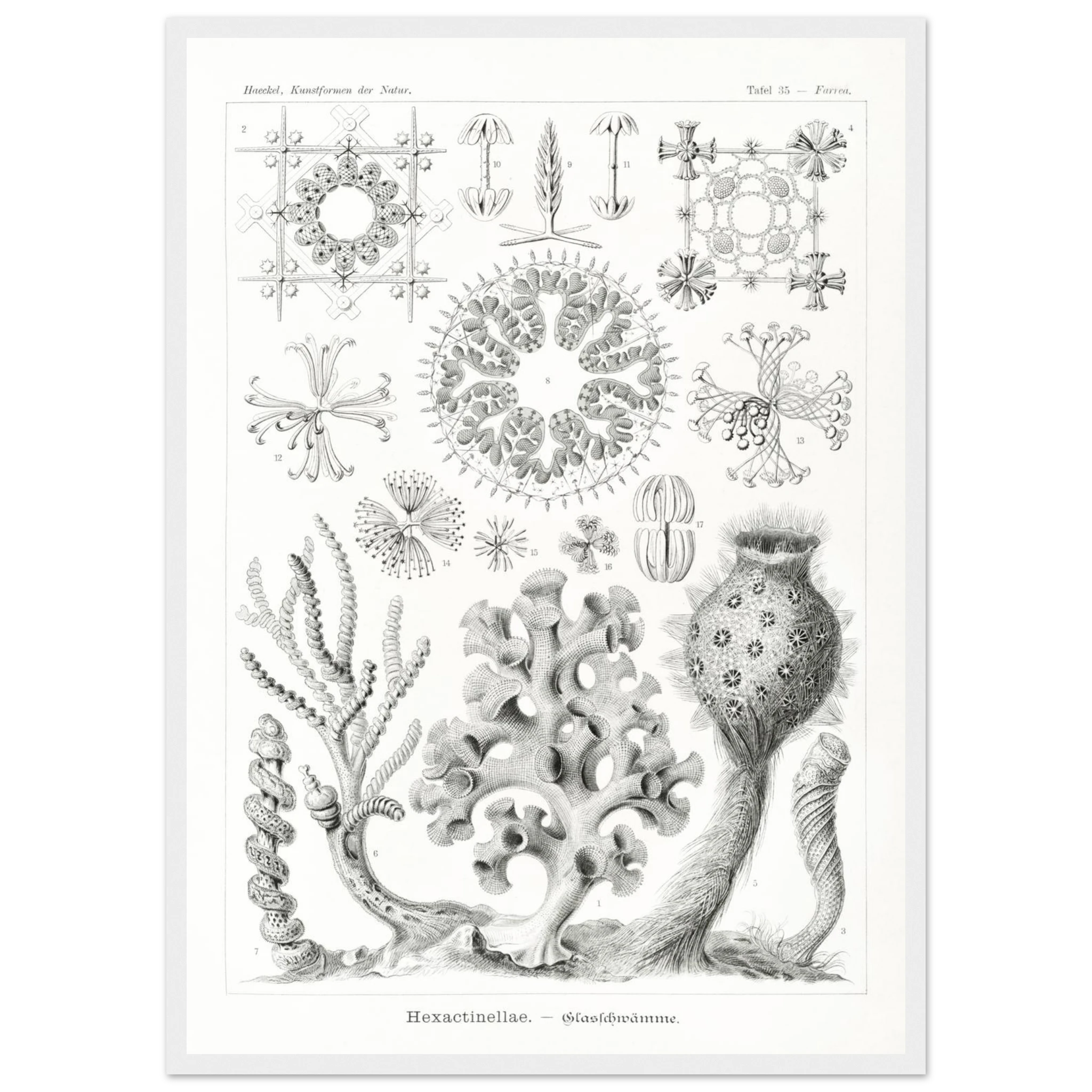 62391868-05b3-4c22-8d8d-17e0c9efbf3a