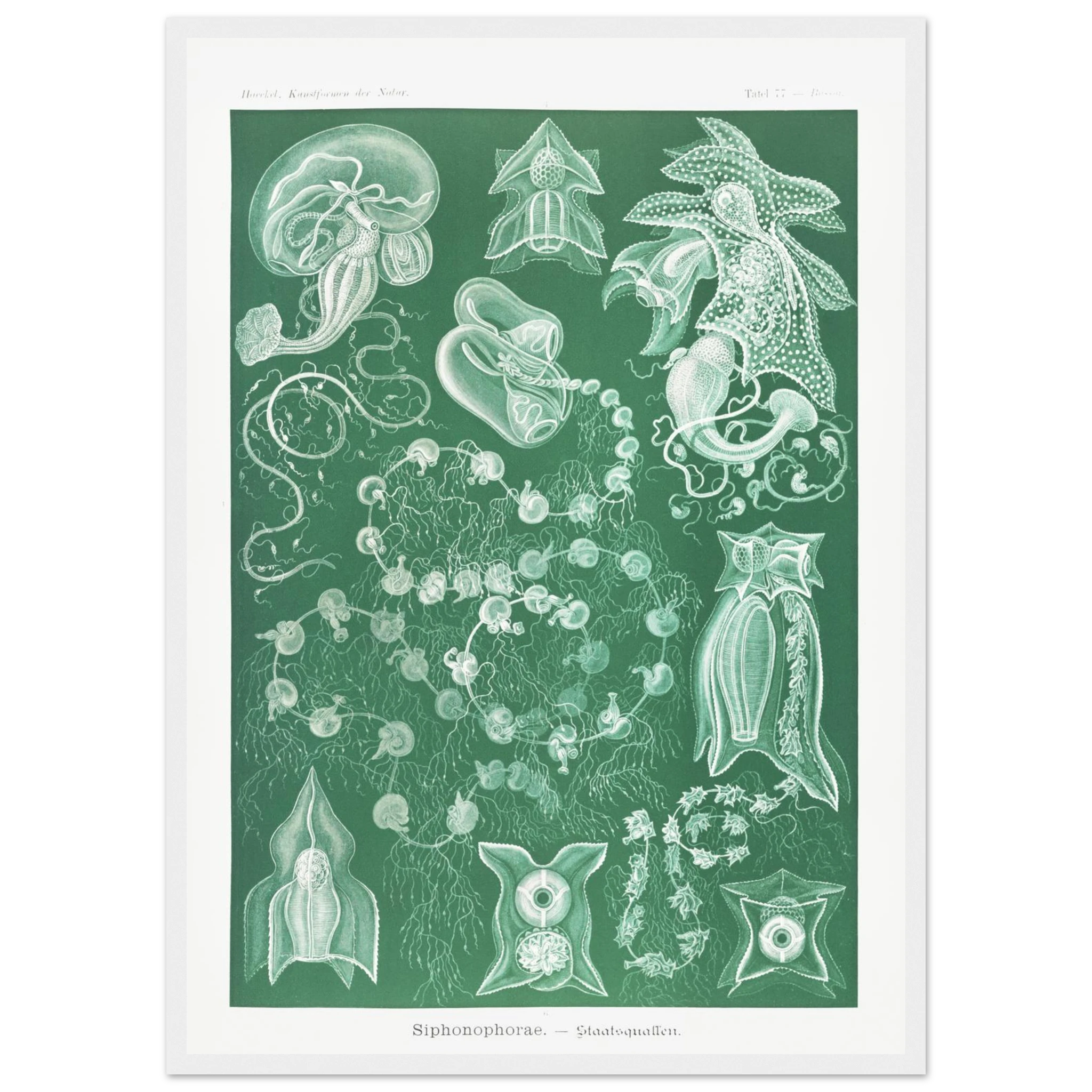 624c5d2f-16ed-4374-8fe2-92c21f0f96e4