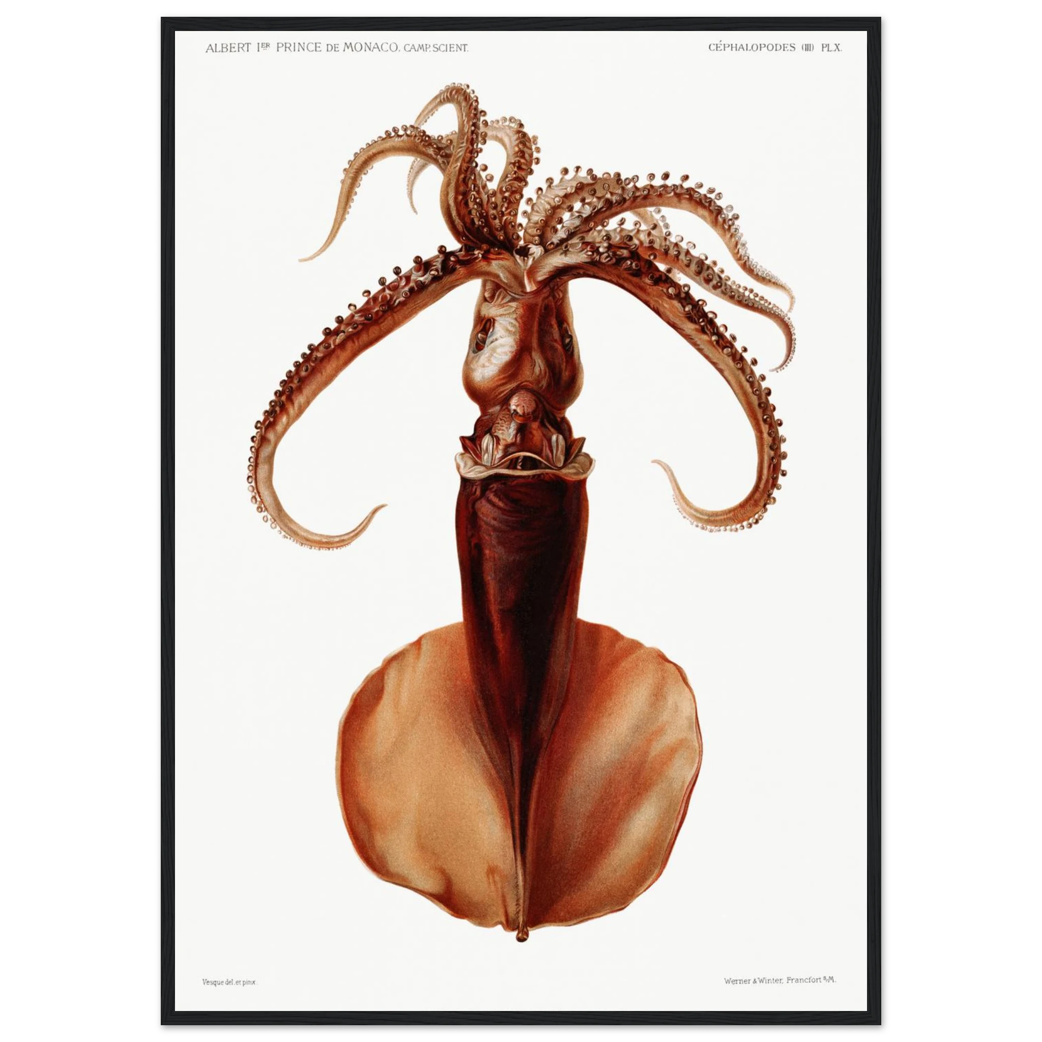 62569248-1c2f-4fe1-8f42-1e54312c2932