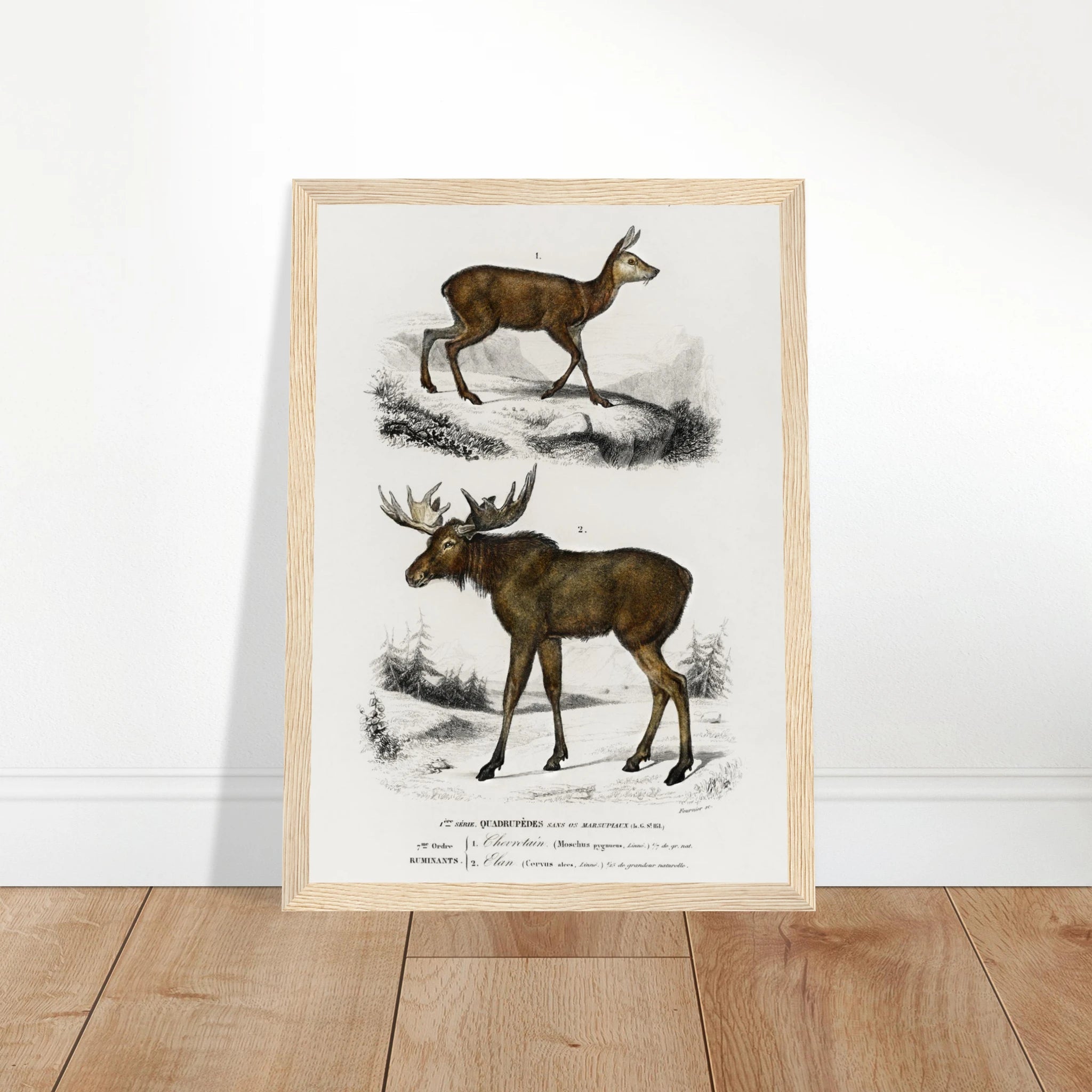 6273f9c8-ca40-44e0-b4f6-33ad38f02420