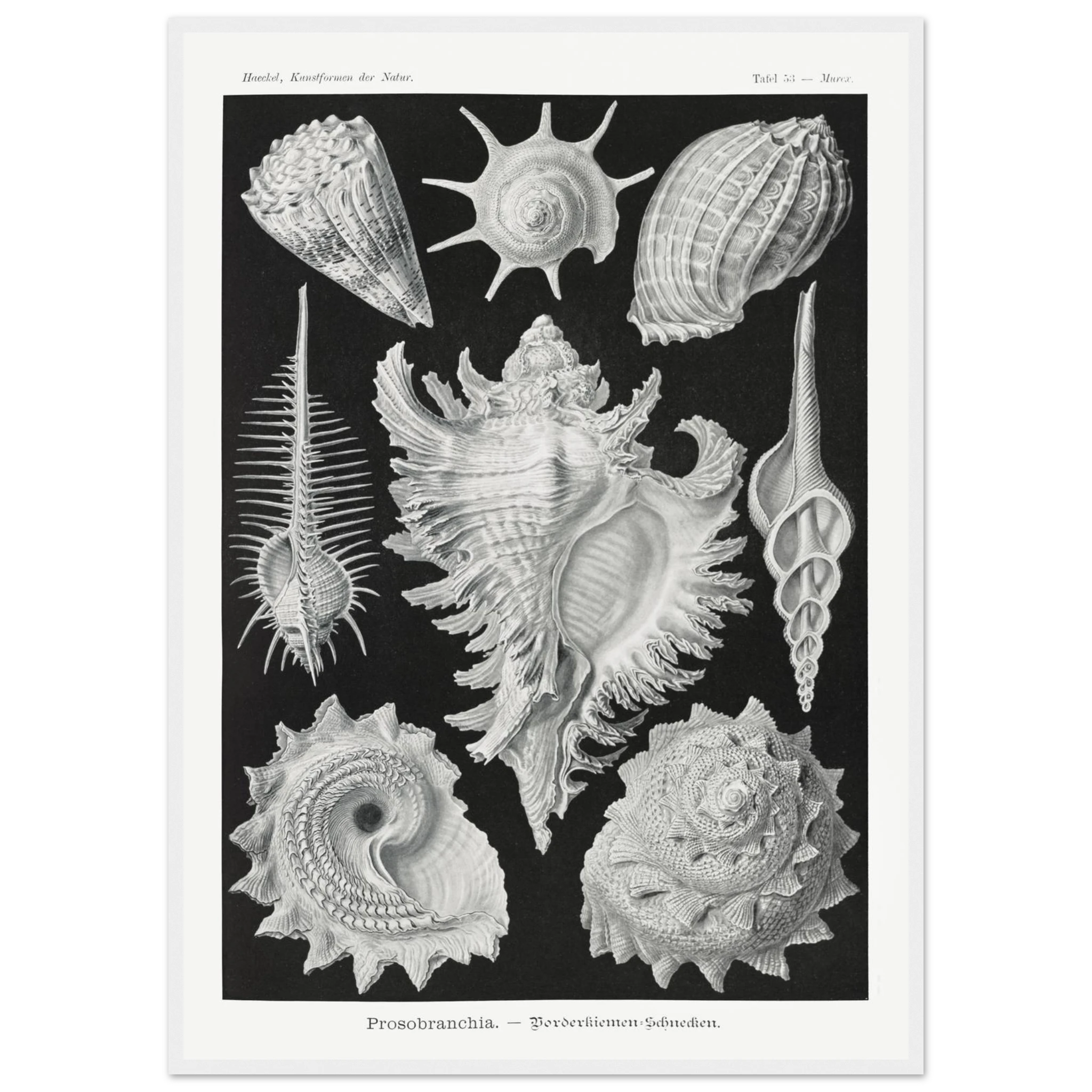 62a2e852-4266-4c09-837c-c0f811313e8d